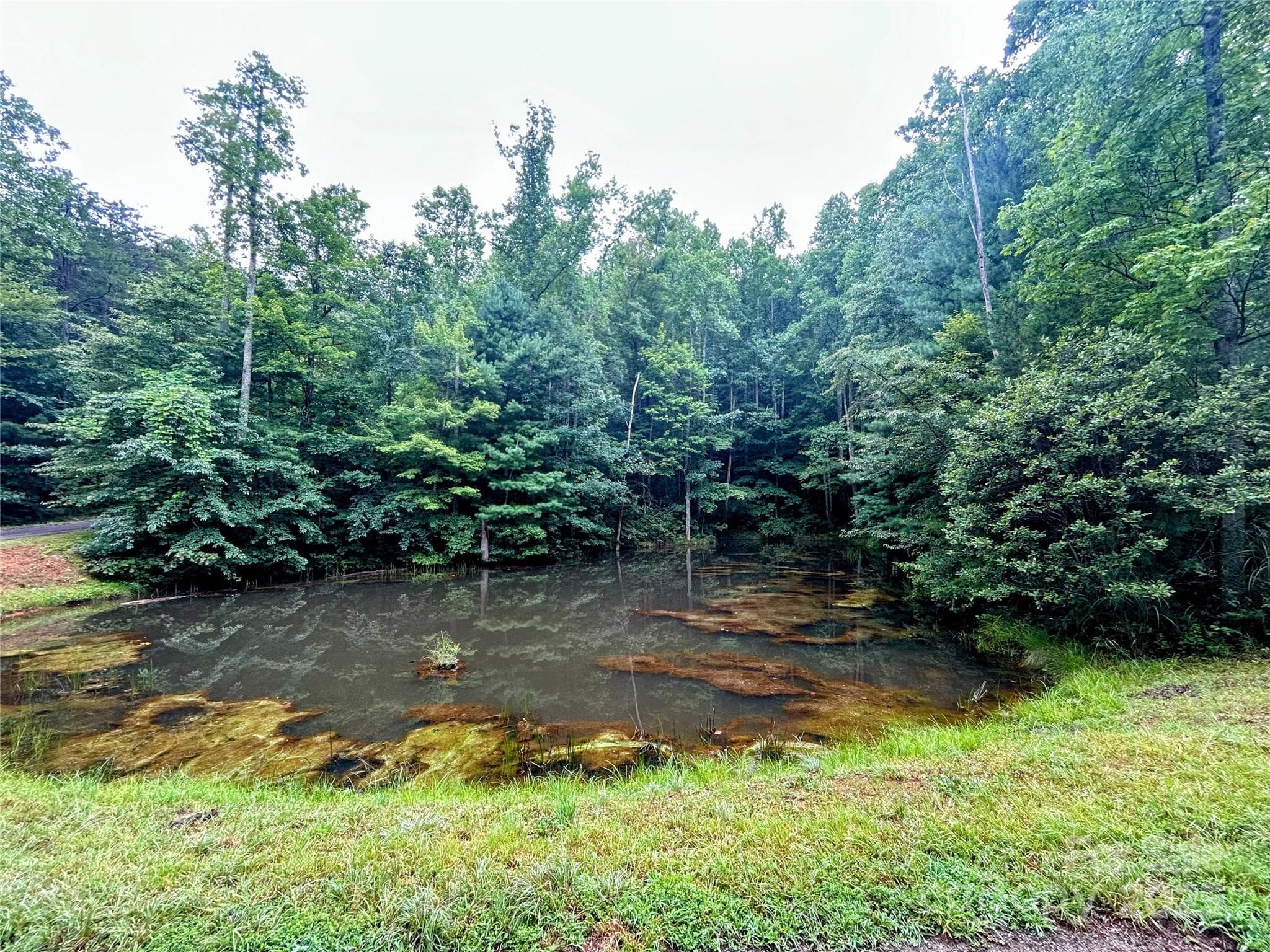 Lot at Lot 6 Azalea Way, Saluda, photo 2 of 9