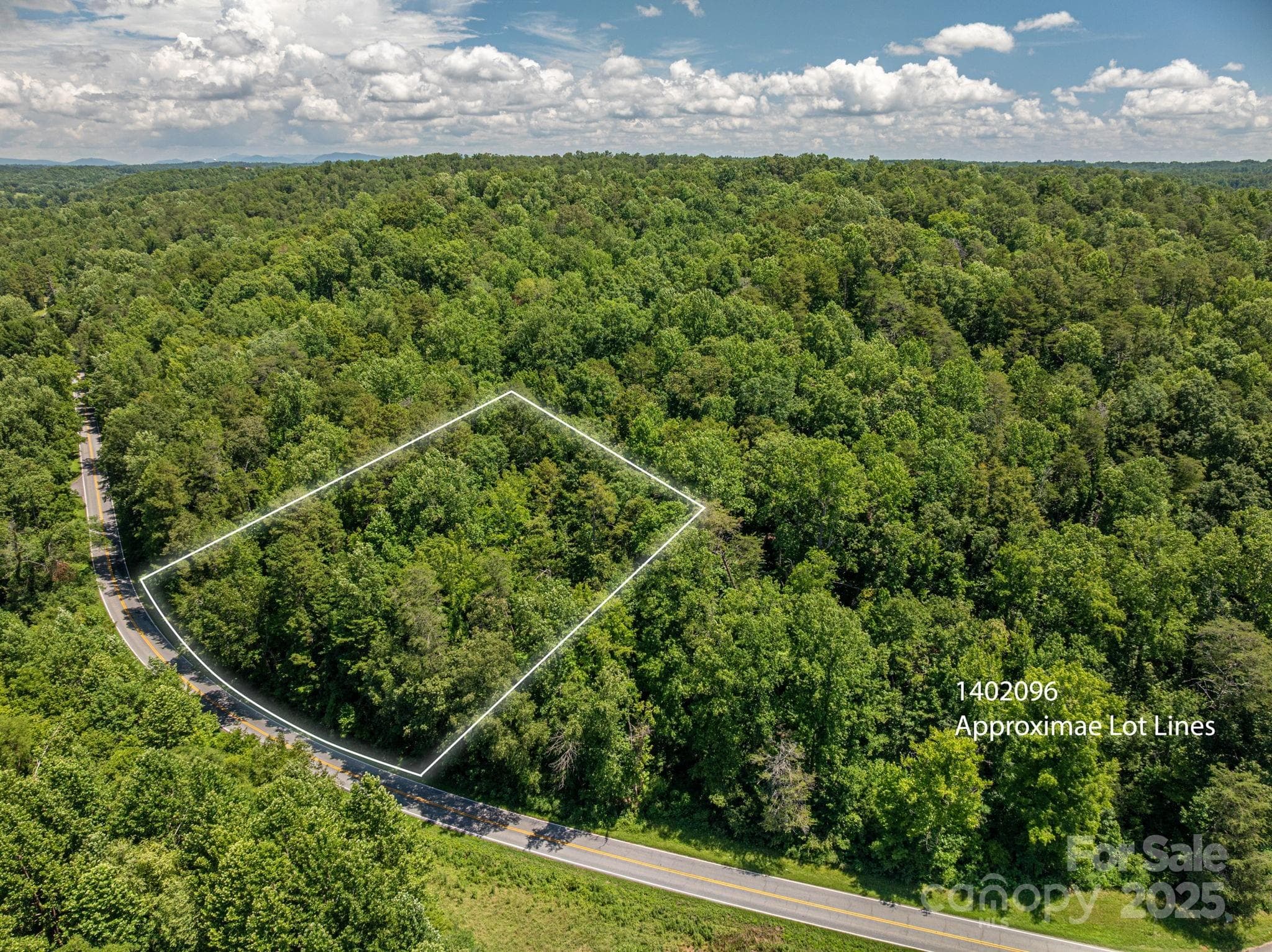 Lot at Lot 162 Coxe Road, Rutherfordton, photo 2 of 16