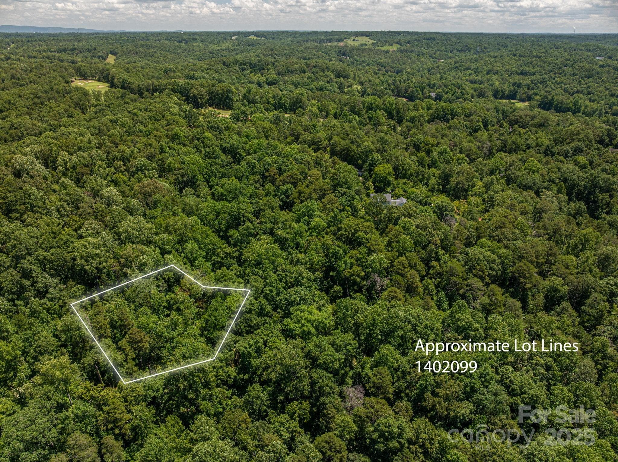 Lot at Lot 169 Coxe Road, Rutherfordton, photo 3 of 19