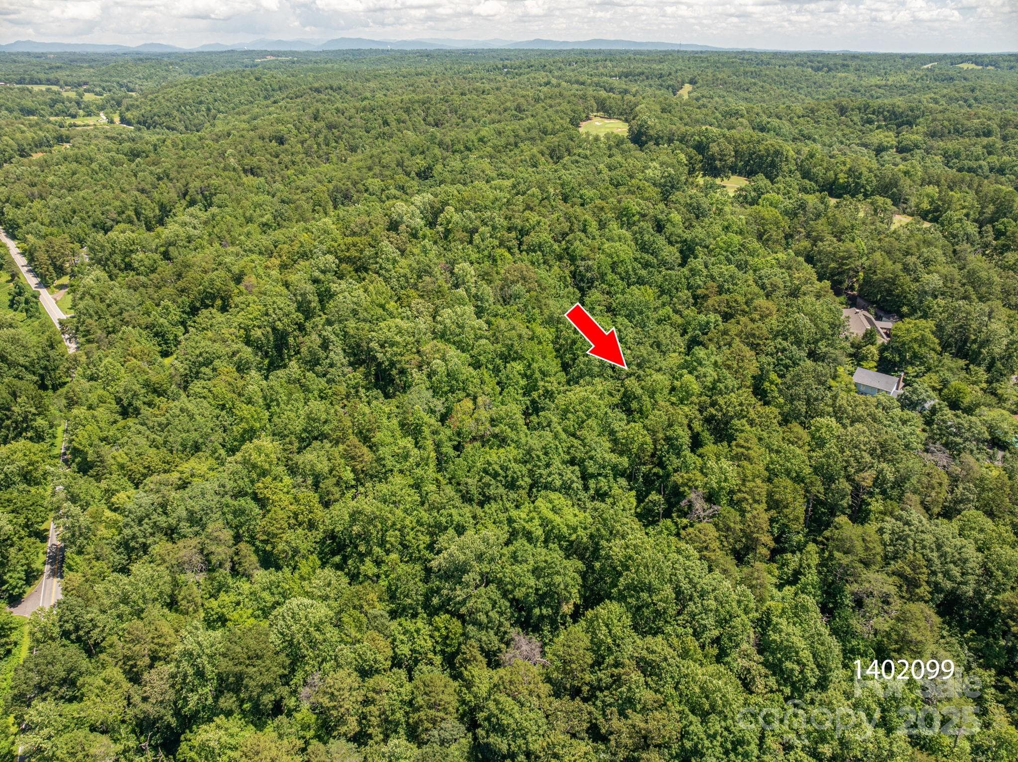 Lot at Lot 169 Coxe Road, Rutherfordton, photo 4 of 19