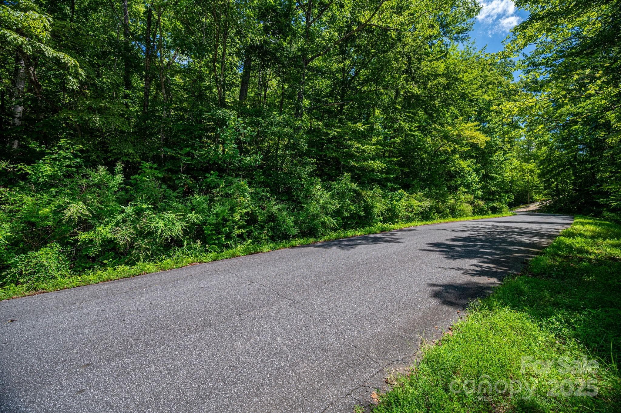 Lot at Rutherfordton, photo 2 of 19
