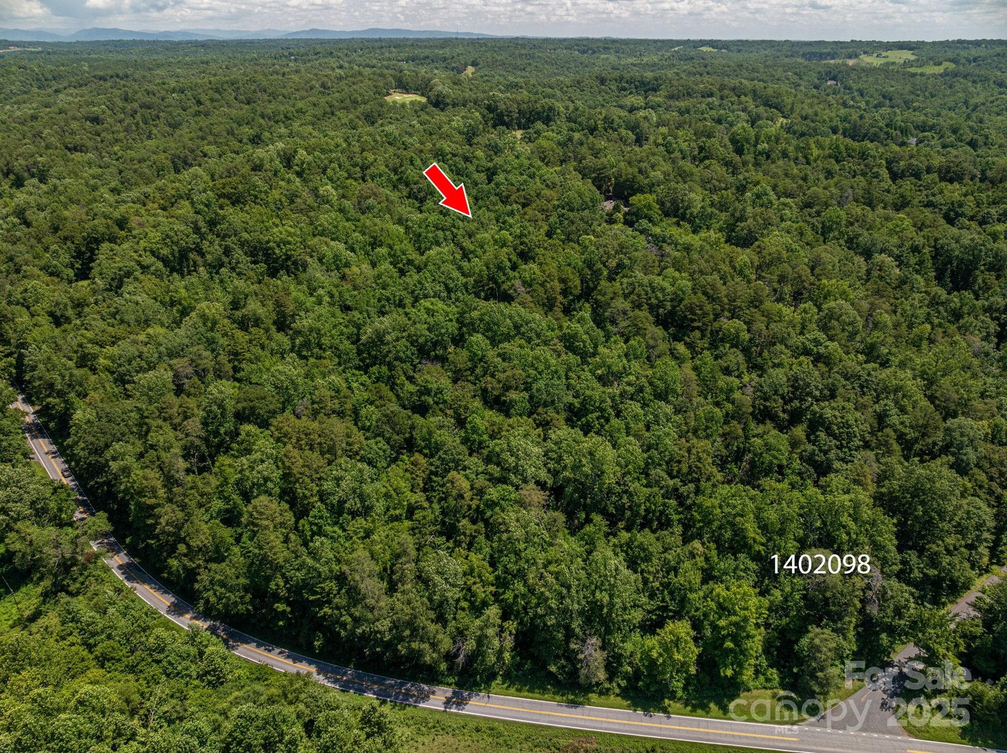Lot at Lot 170 Coxe Road, Rutherfordton, photo 4 of 16