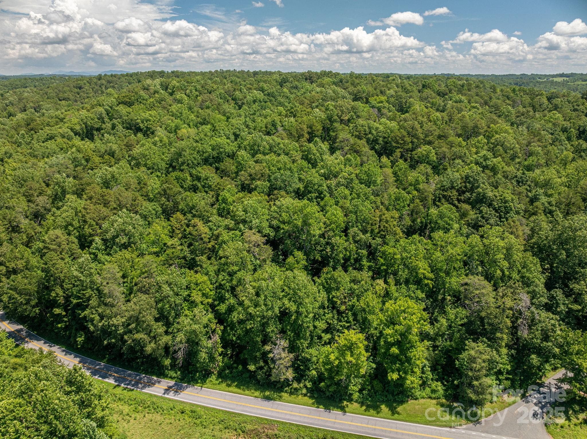 Lot at Lot 161 Coxe Road, Rutherfordton, photo 4 of 19