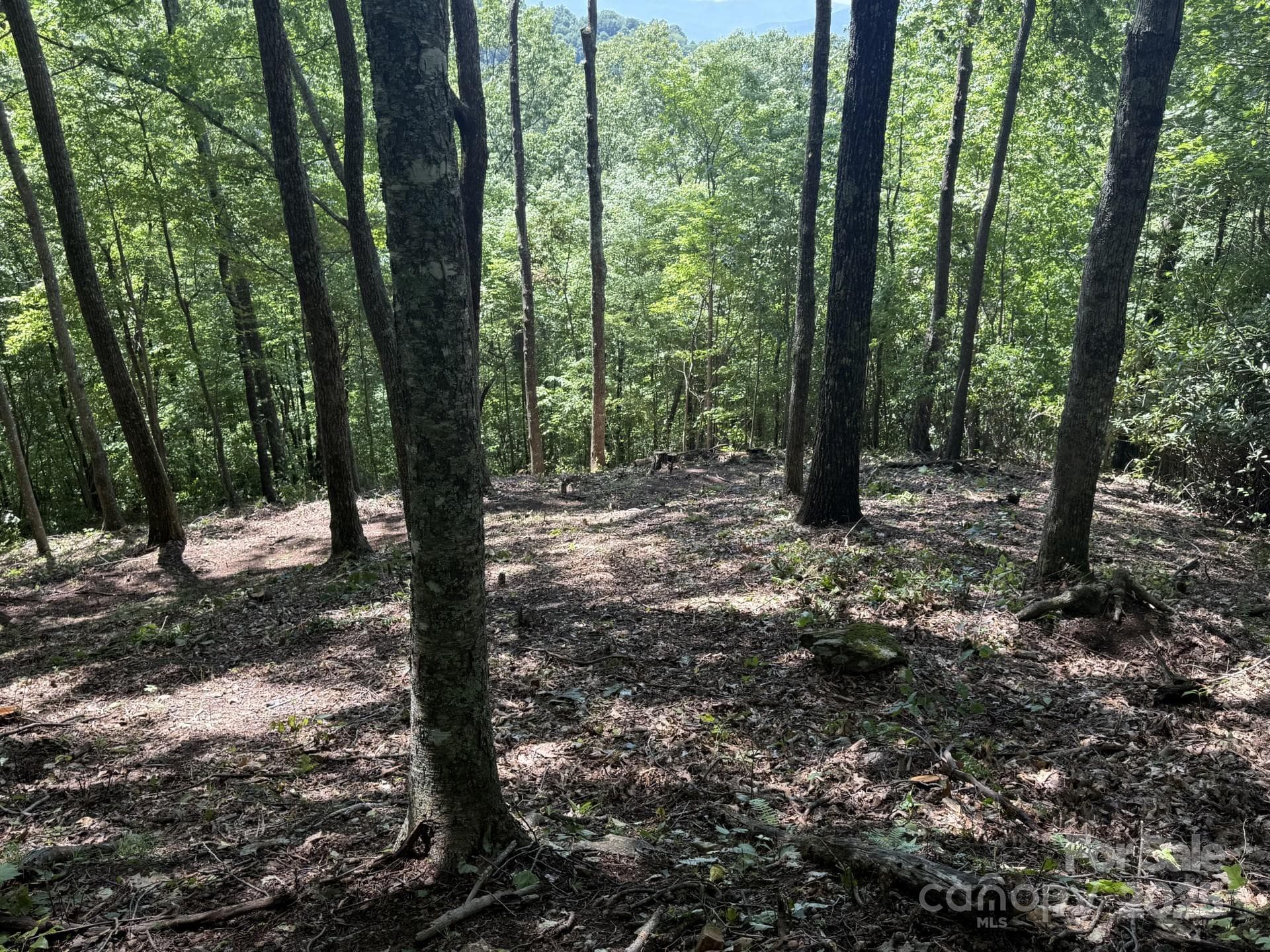 Lot at Sylva, photo 2 of 20