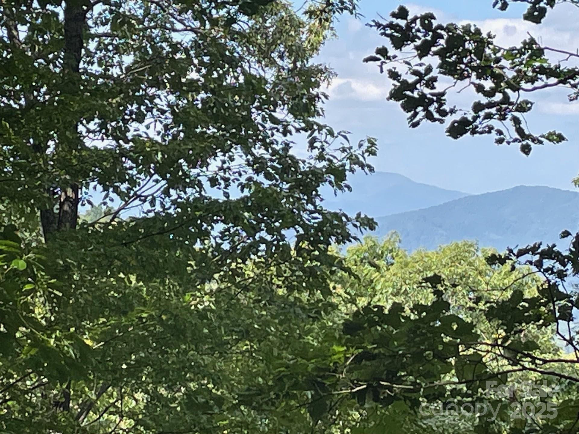 Lot at Sylva, photo 3 of 20