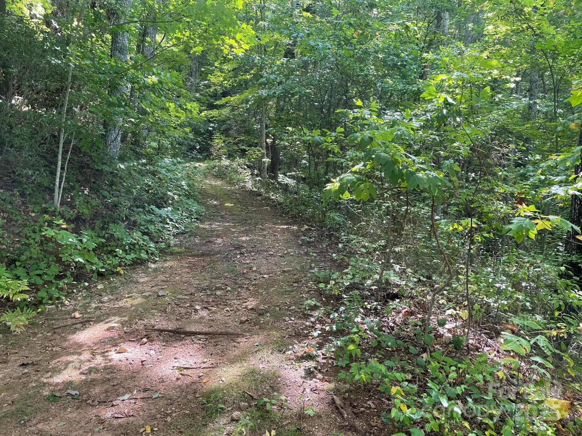 Lot at Sylva, photo 4 of 20