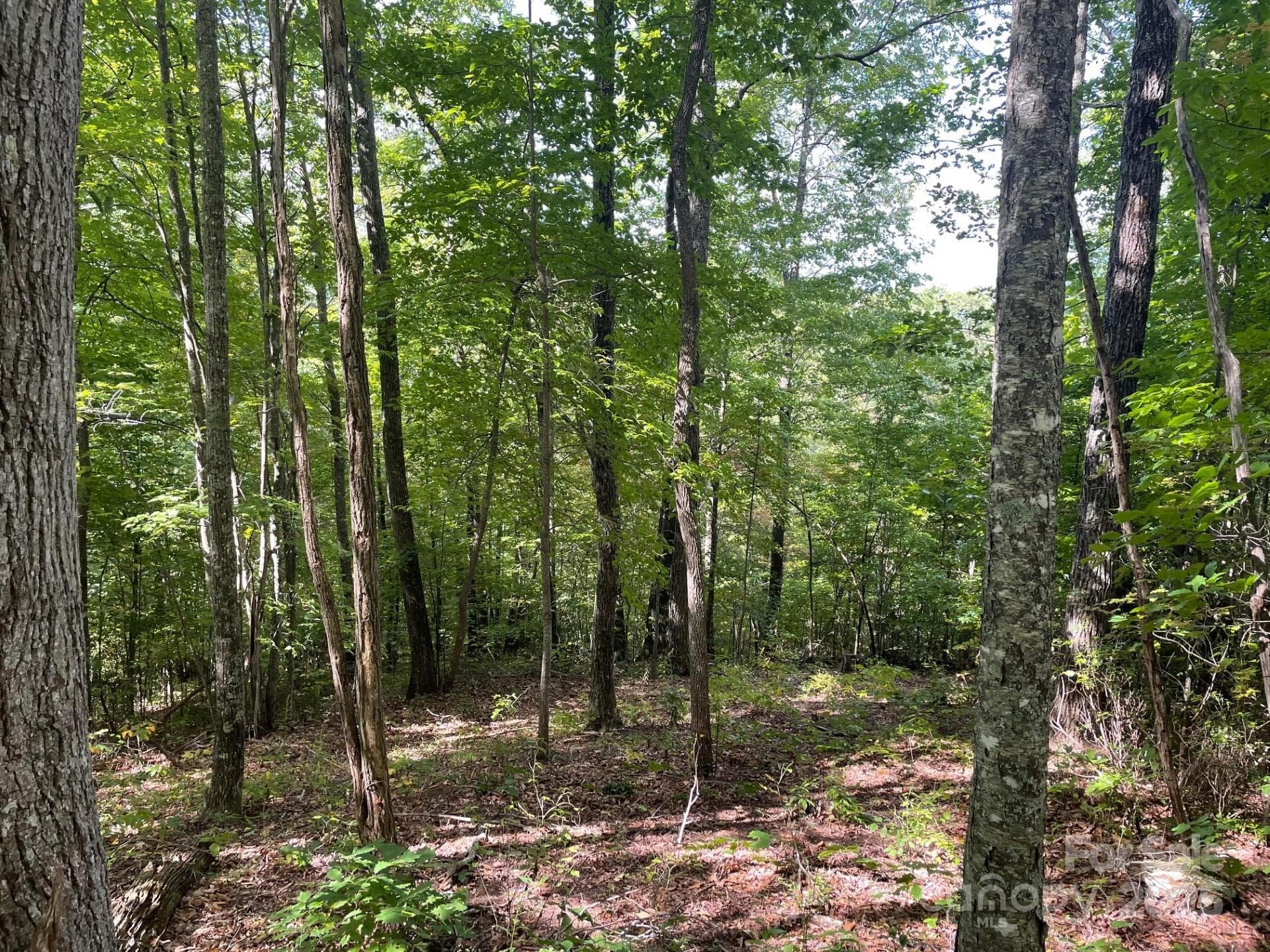 Lot at Sylva, photo 5 of 20