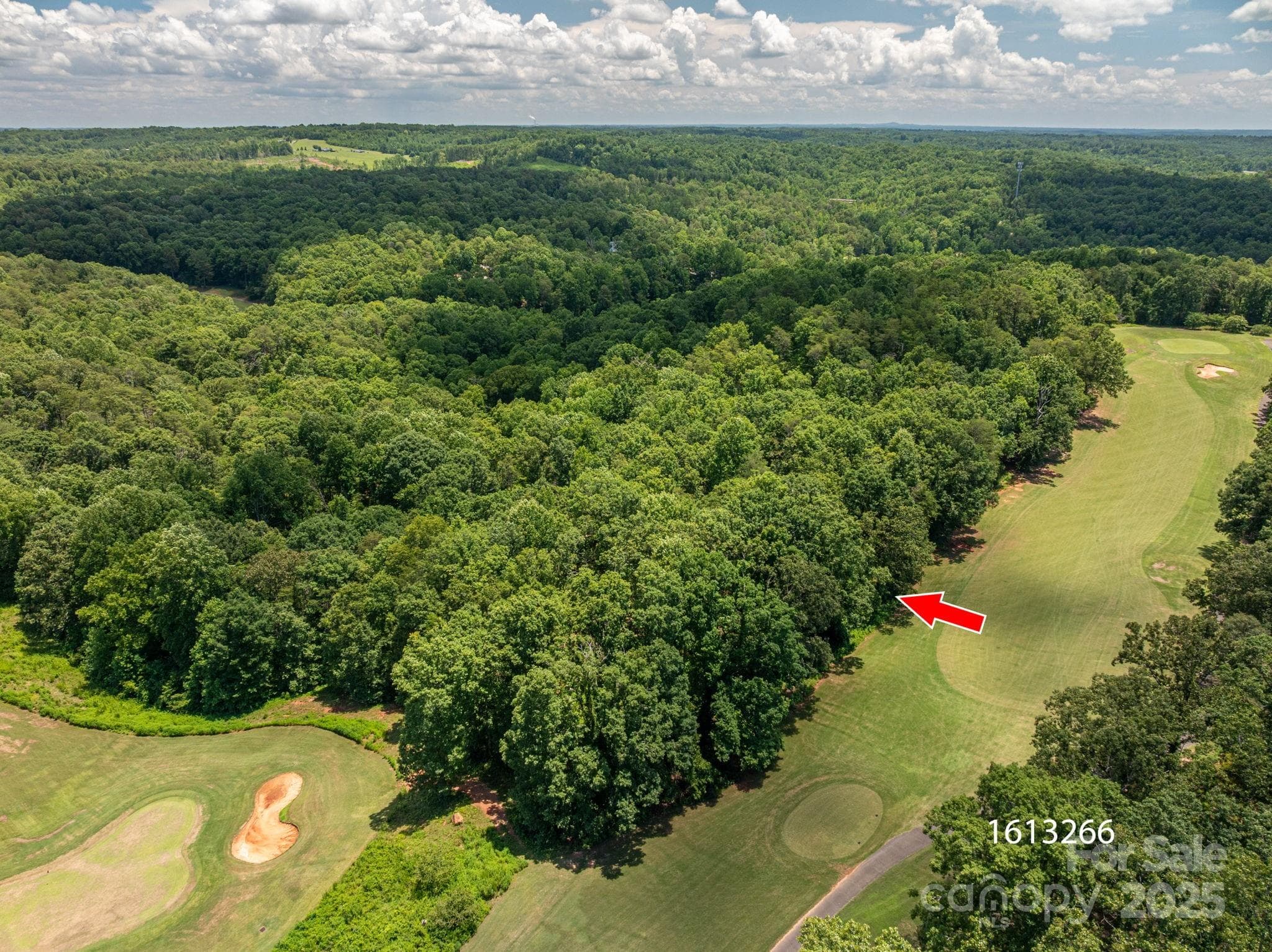 Lot at Rutherfordton, photo 4 of 16