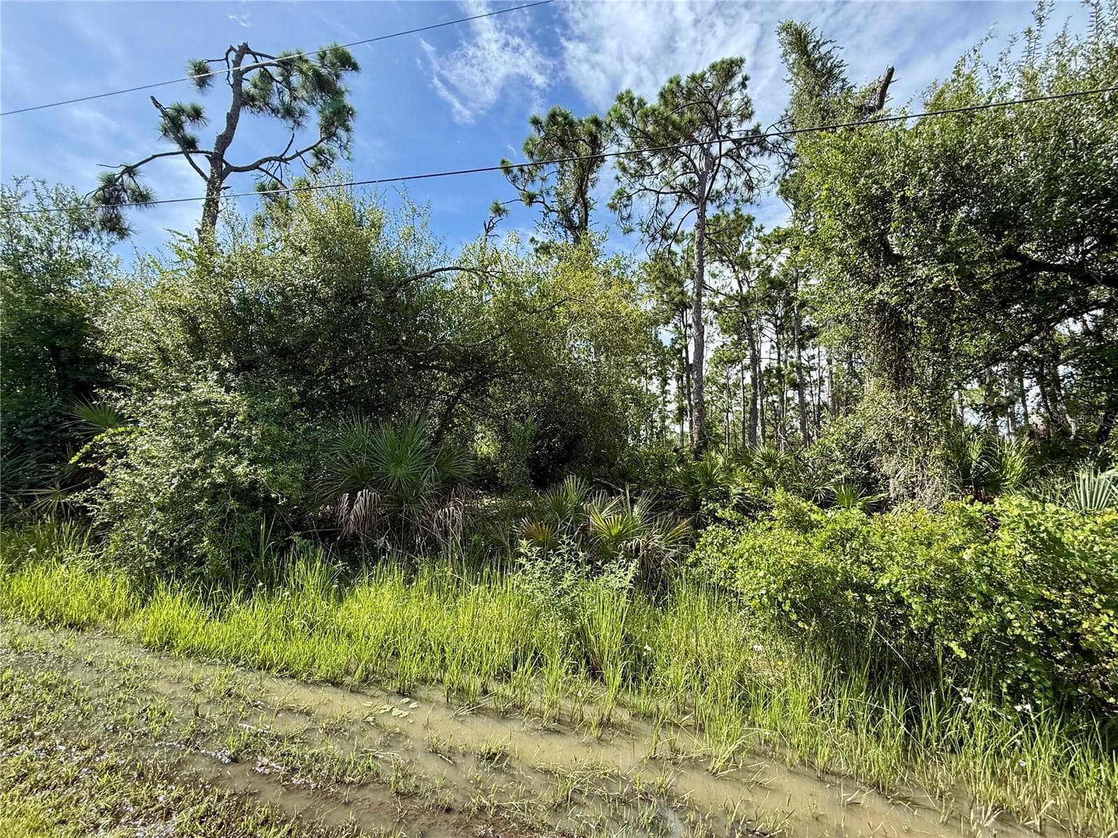 Land at 13165 GOTHAM AVE, PORT CHARLOTTE, photo 3 of 8