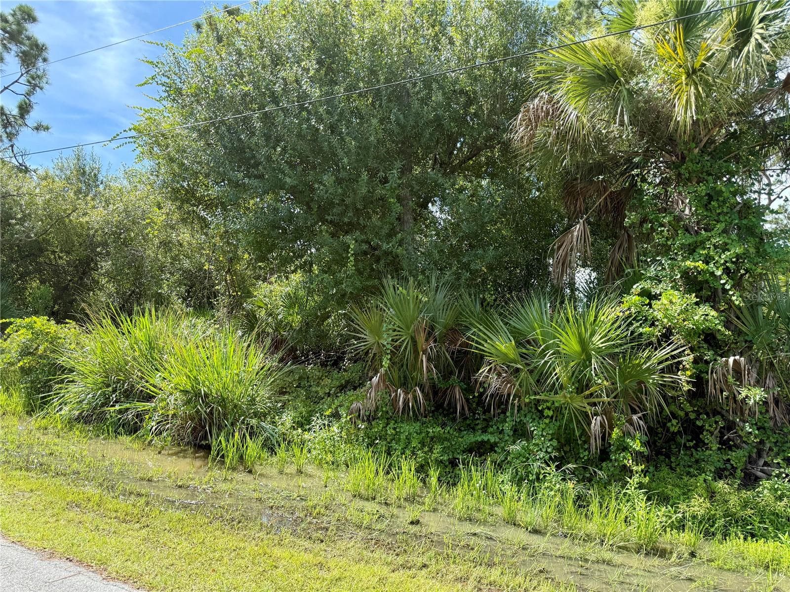 Land at 13165 GOTHAM AVE, PORT CHARLOTTE, photo 7 of 8