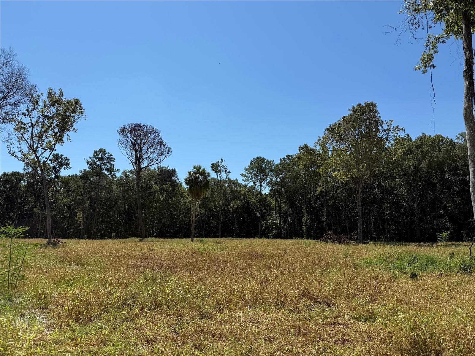Land at 62ac NW 193RD ST, MICANOPY, photo 2 of 8