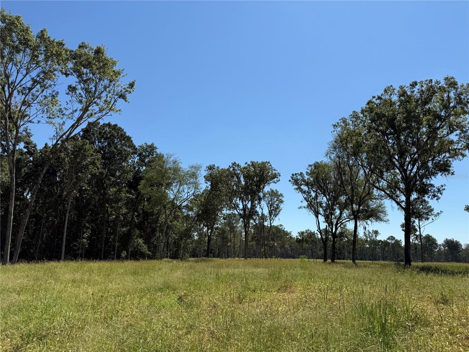 Land at 62ac NW 193RD ST, MICANOPY, photo 3 of 8