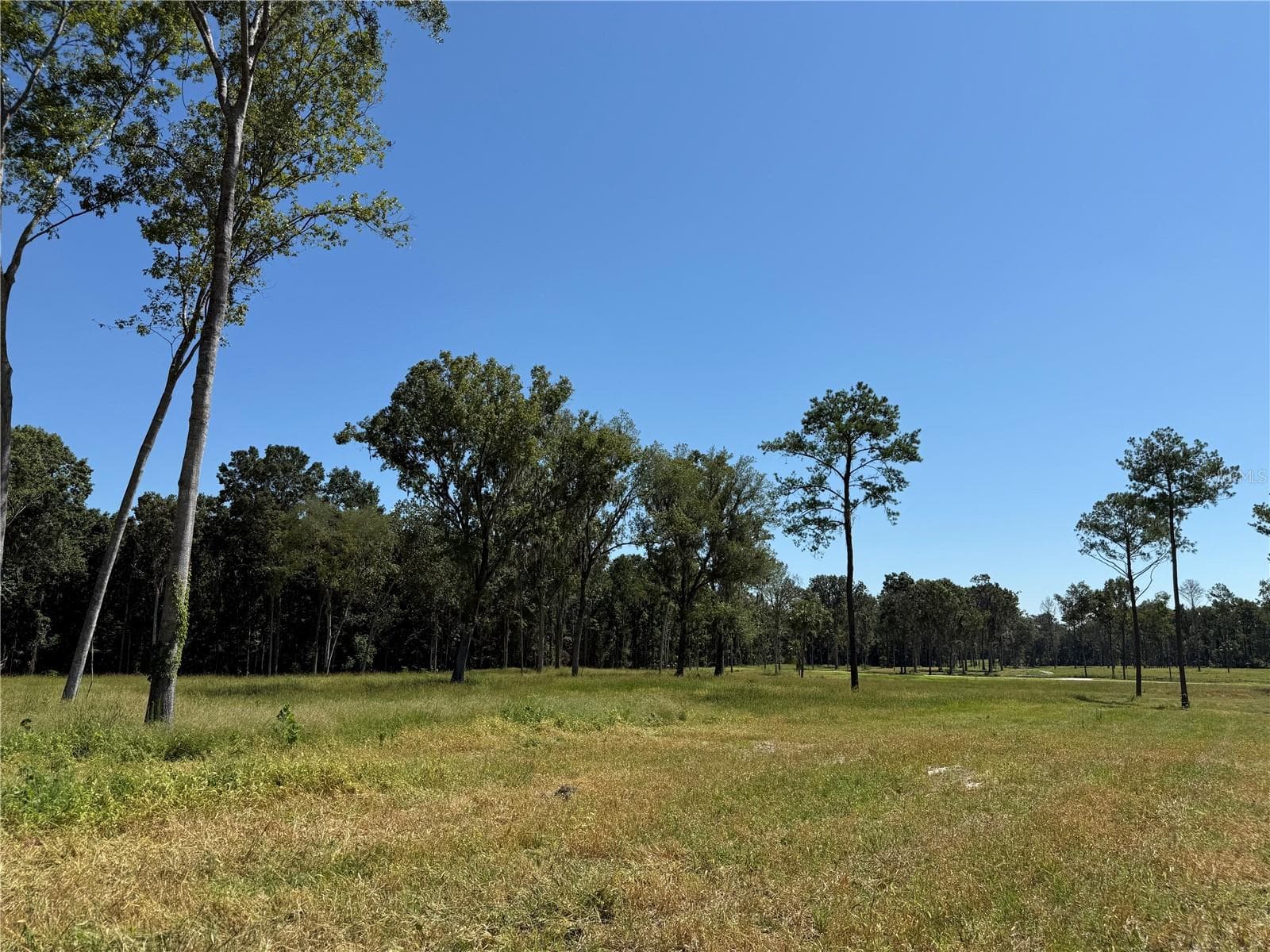 Land at 62ac NW 193RD ST, MICANOPY, photo 5 of 8