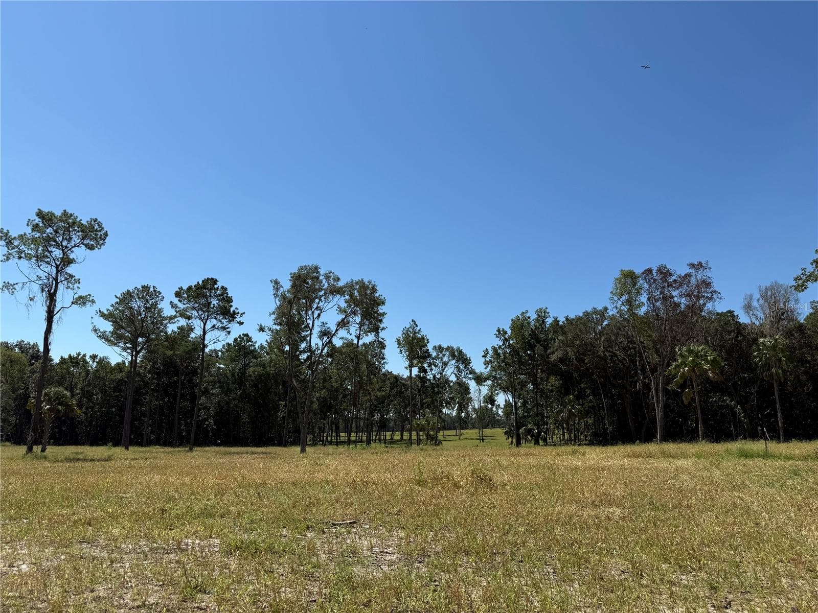 Land at 62ac NW 193RD ST, MICANOPY, photo 6 of 8