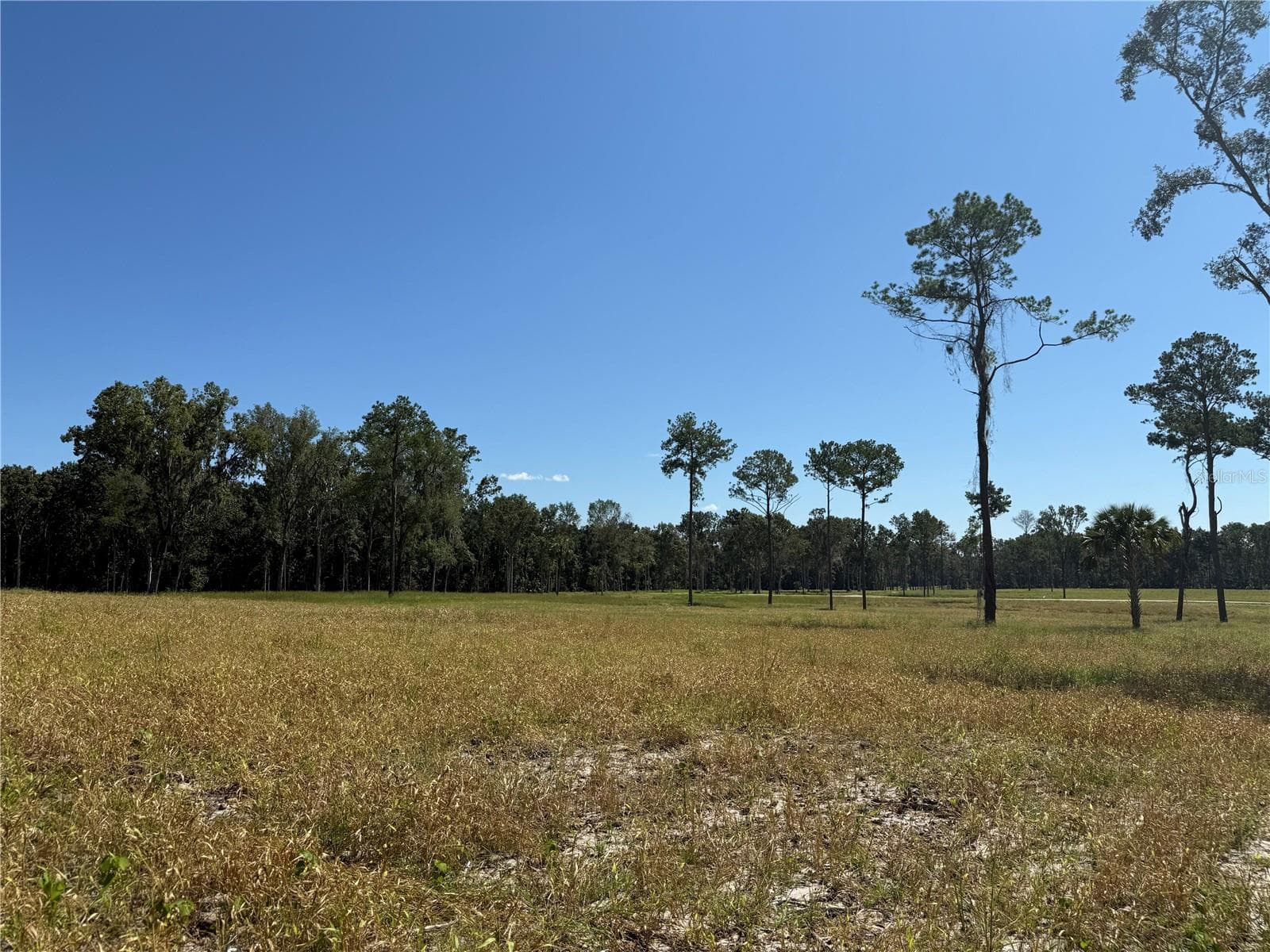 Land at 62ac NW 193RD ST, MICANOPY, photo 7 of 8
