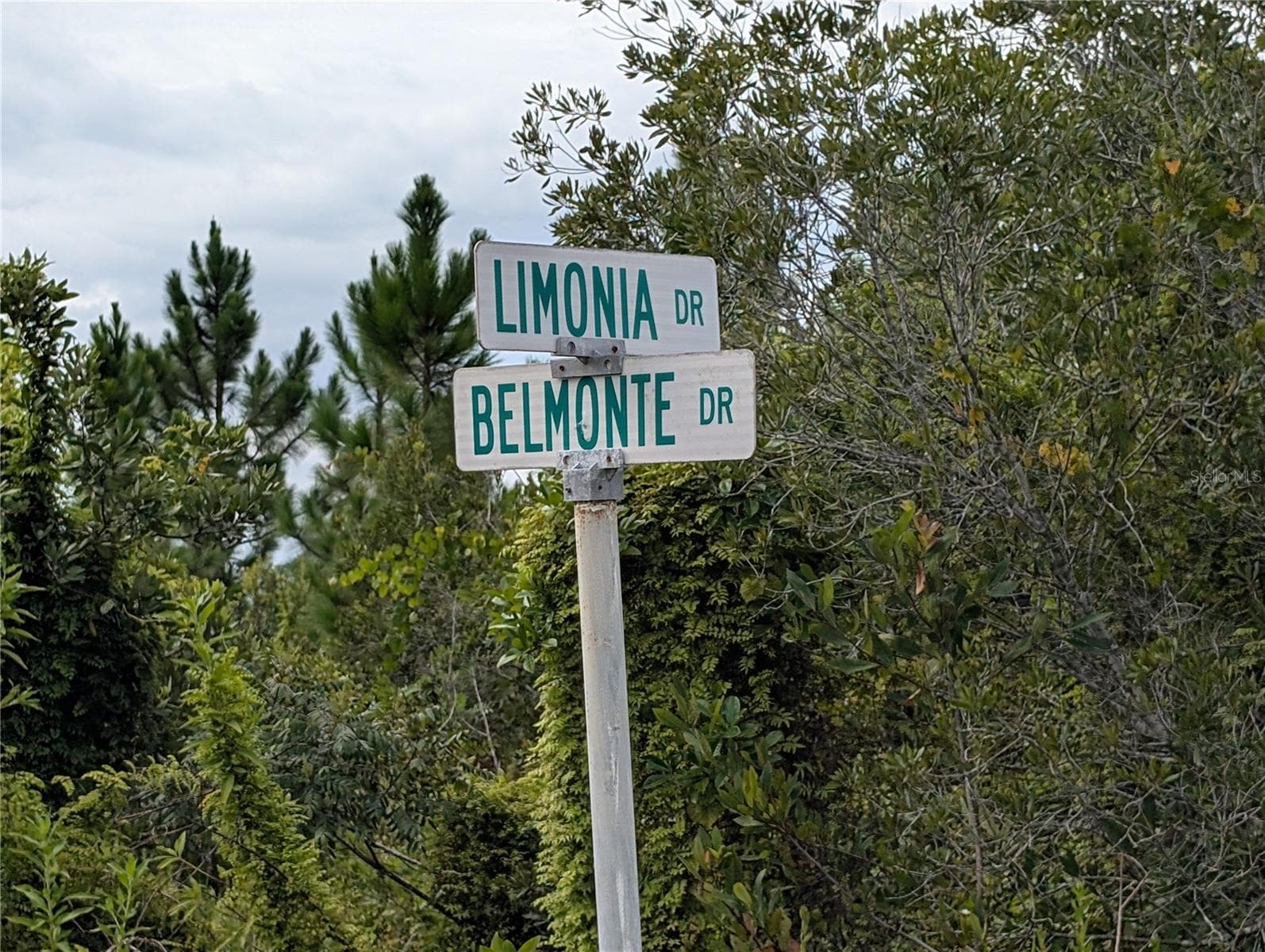 213 BELMONTE DR