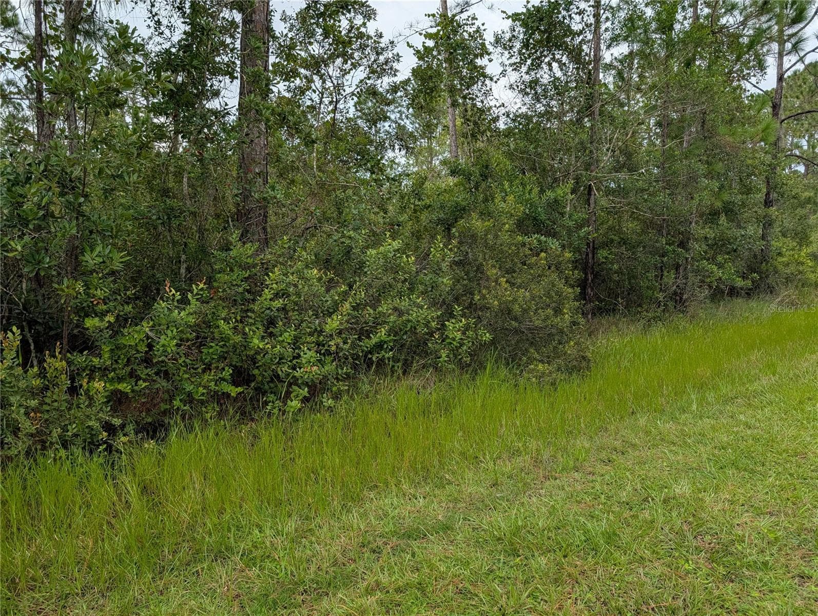 302 PANDORA DR