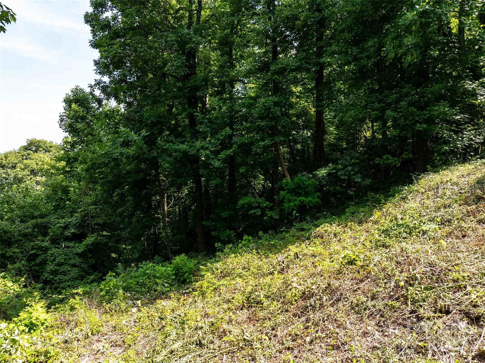 Lot at 2957 Creston Drive, Black Mountain, photo 19 of 25