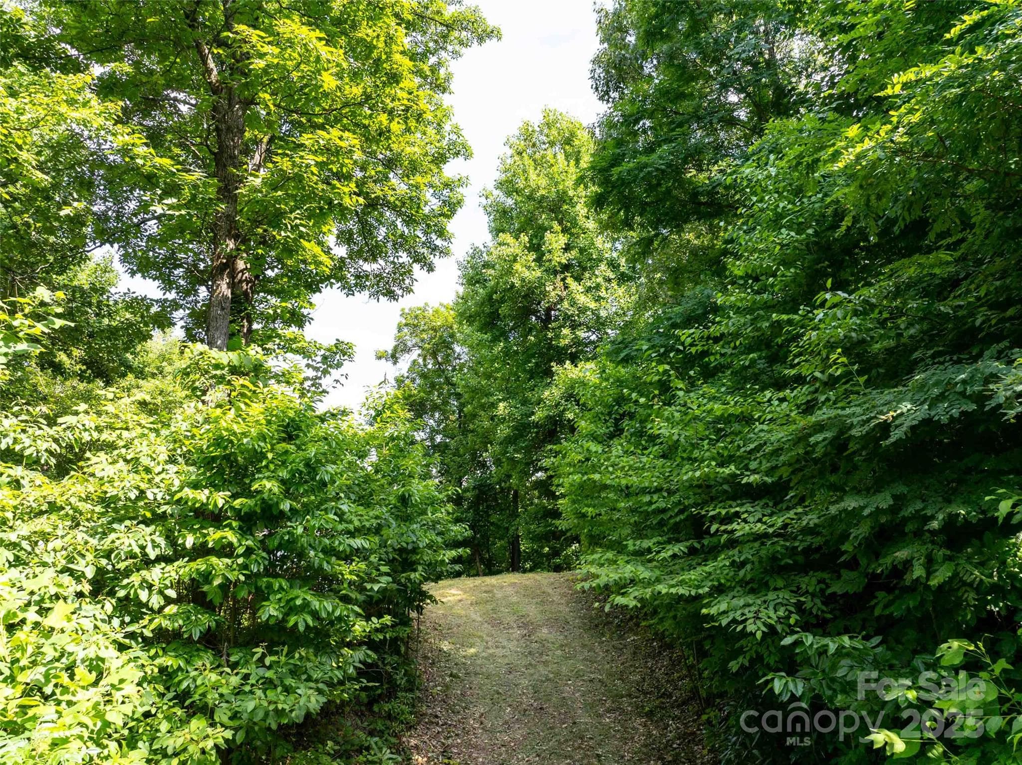 Lot at 2957 Creston Drive, Black Mountain, photo 23 of 25