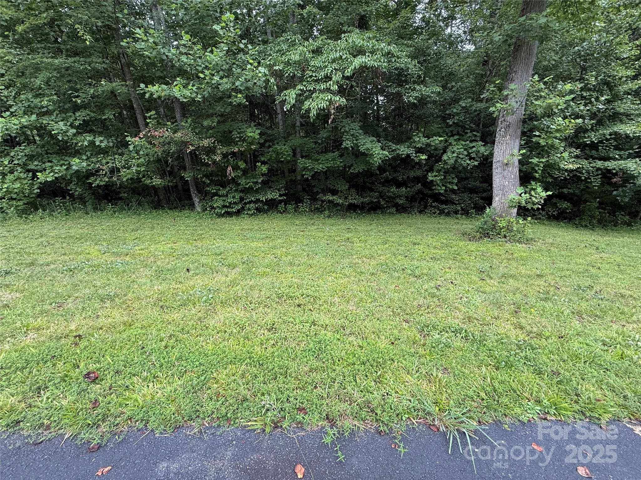 Lot 24 - Lot 24 Zinzendorf Lane, Moravian Falls