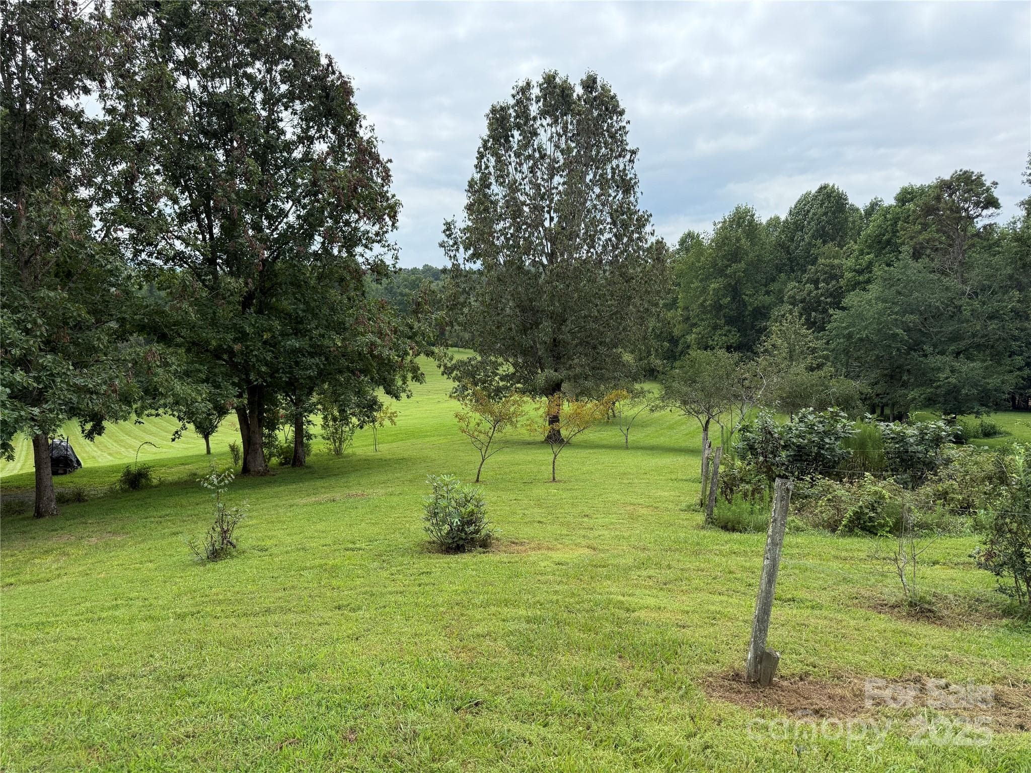 Meadow from Vineyard - Moravian Falls