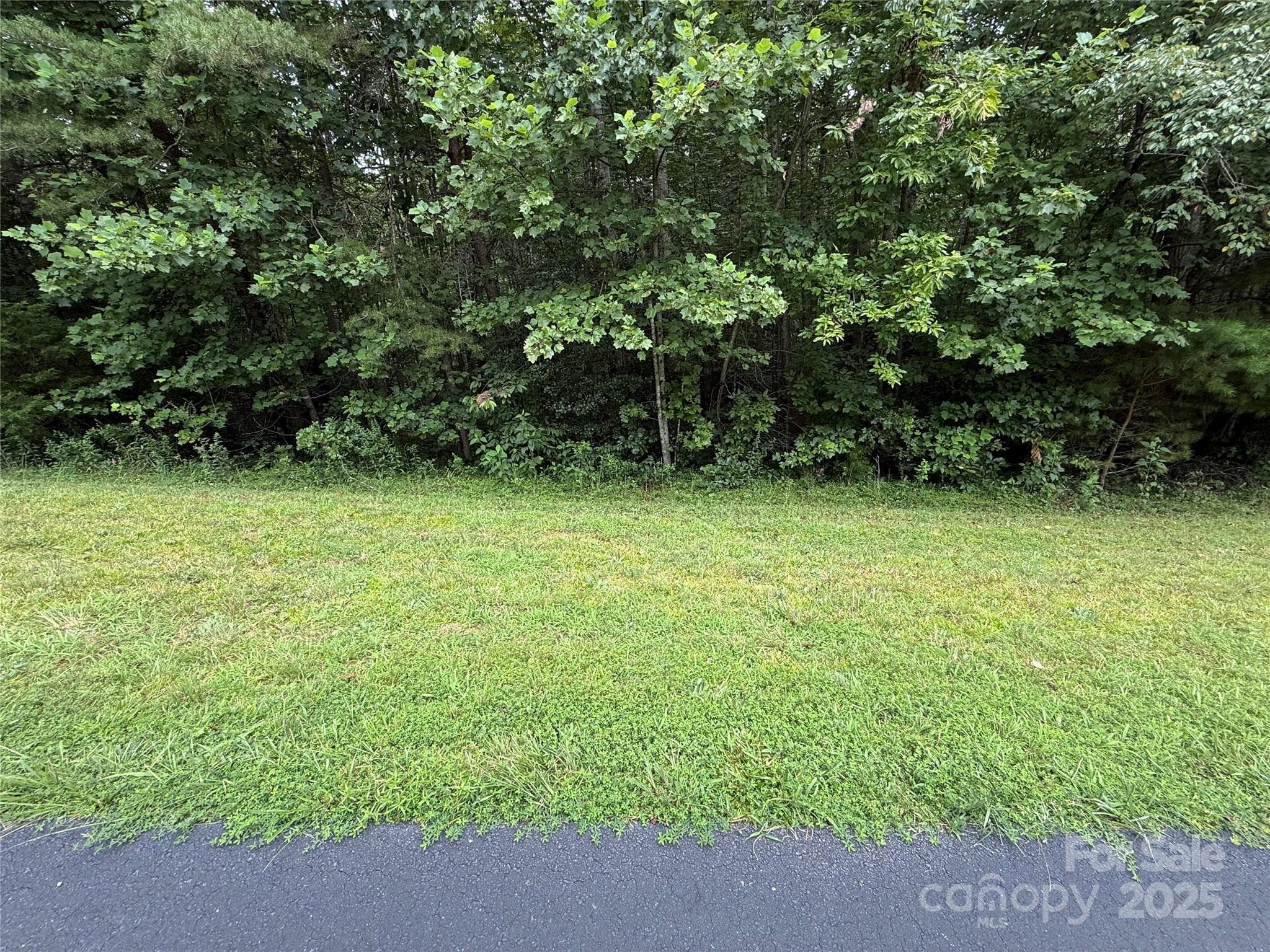Lot 25-1 - Moravian Falls