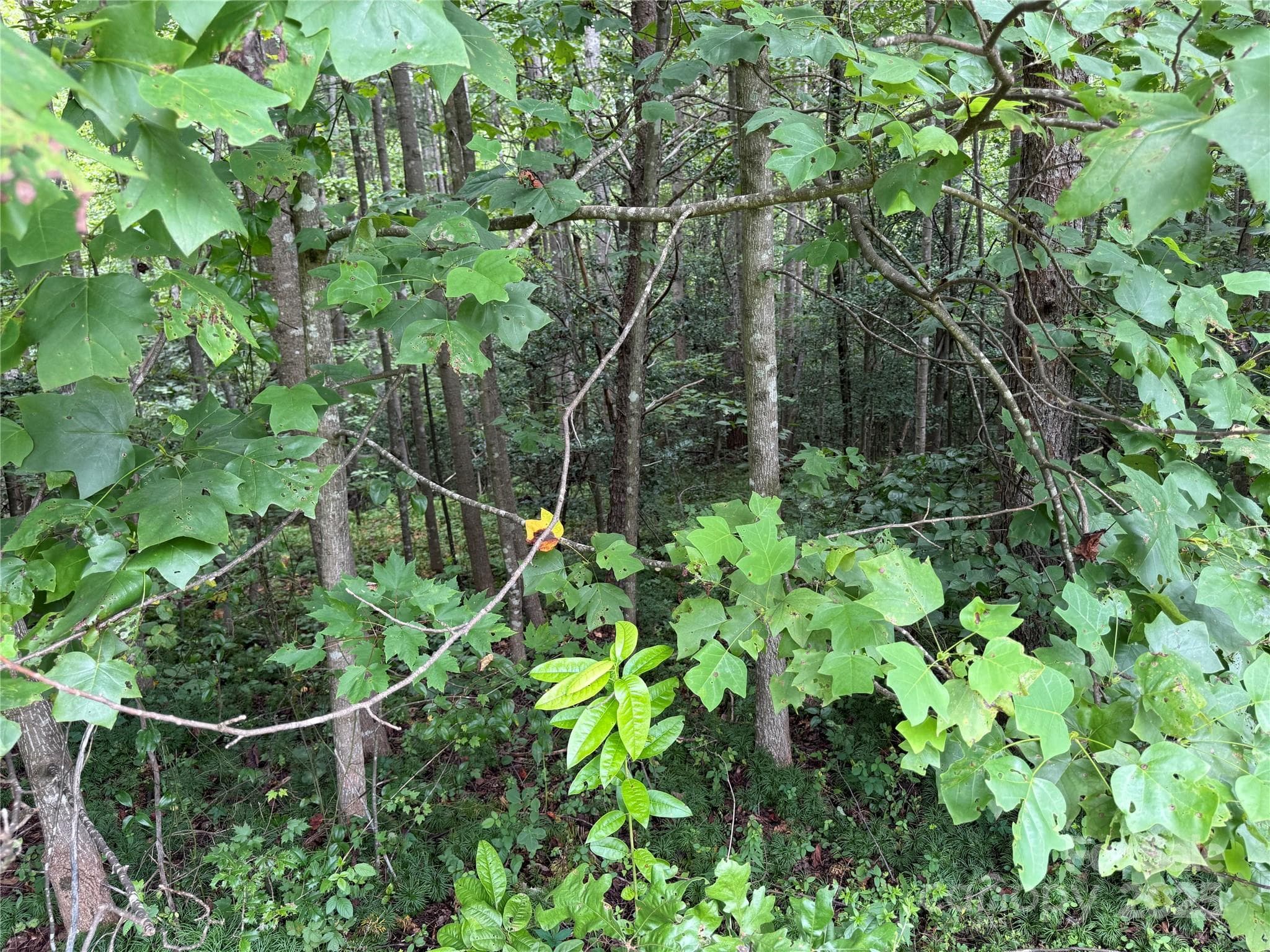 Lot 25-2 - Moravian Falls