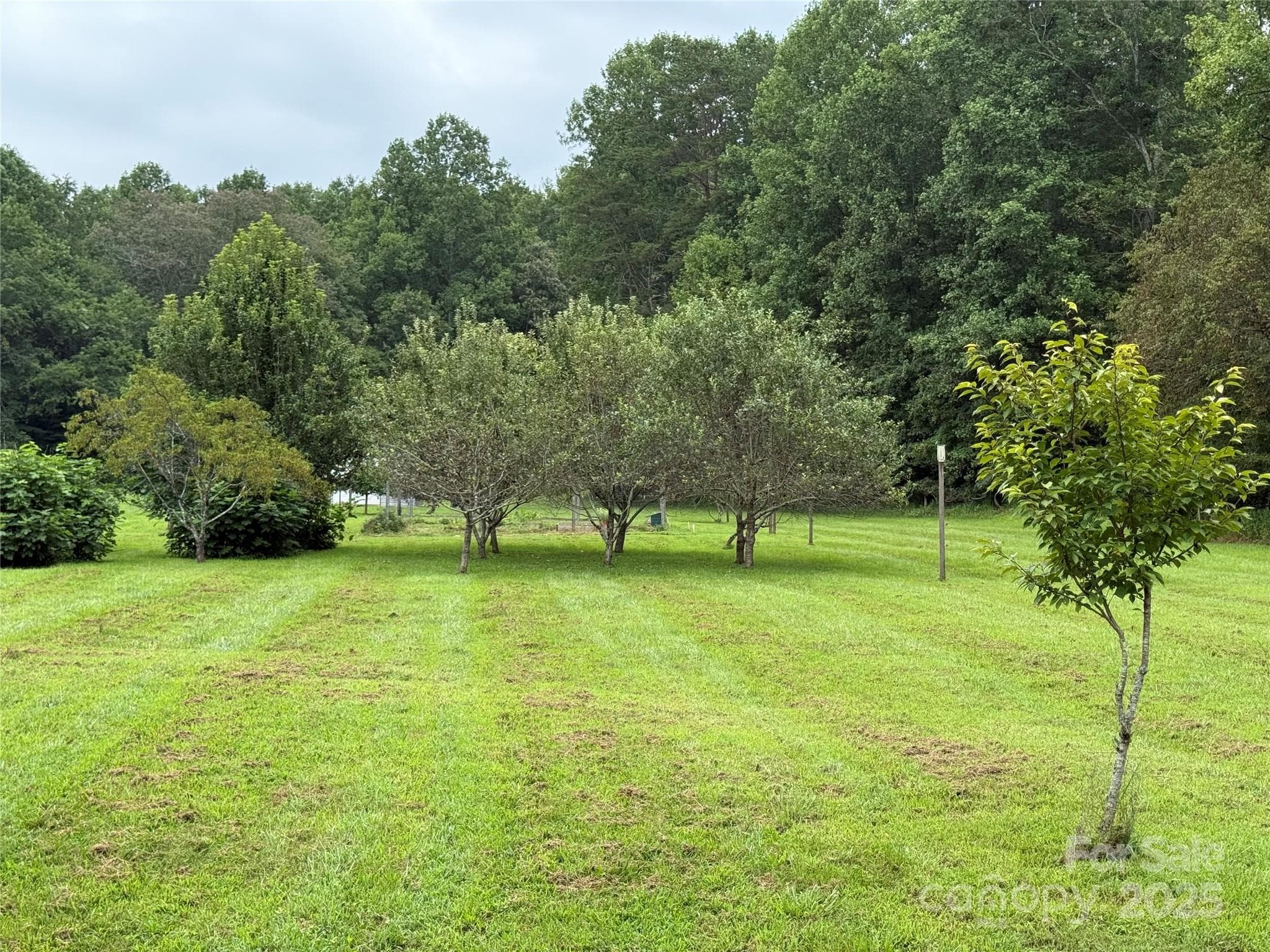 Community Orchard by Garden - Moravian Falls