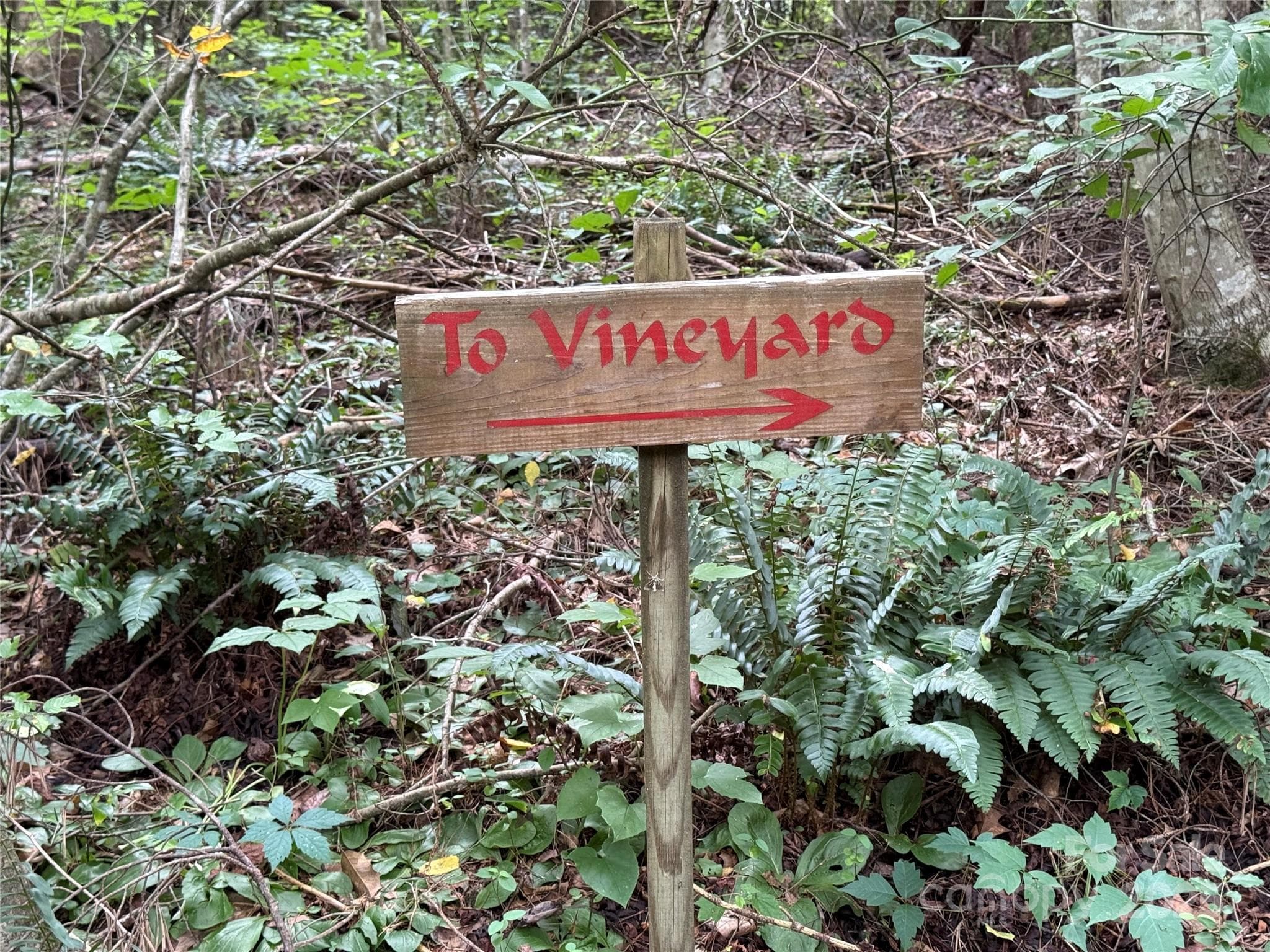 Community Trail Directional Sign - Moravian Falls