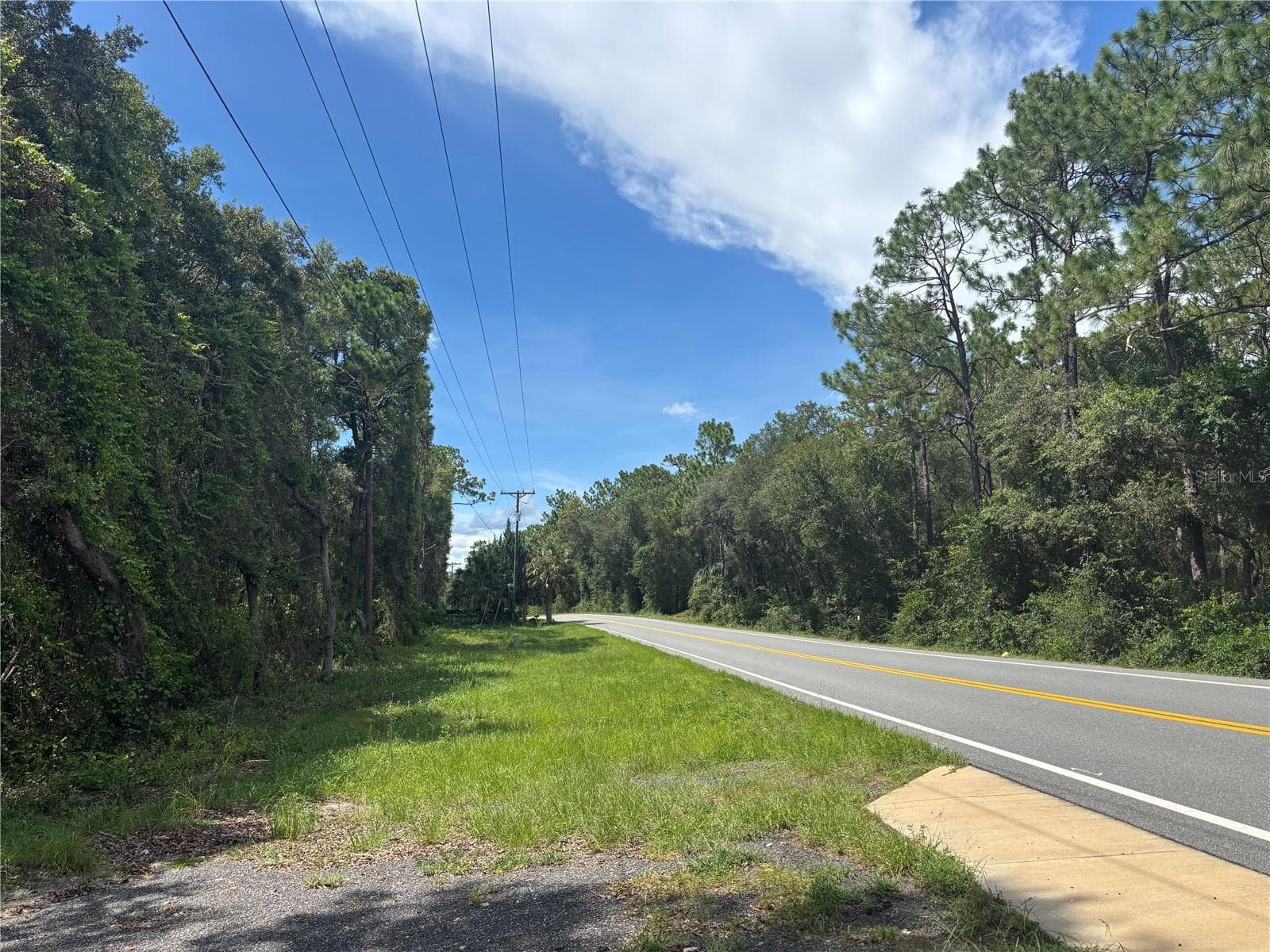 Land at 0 SE 180TH AVE, OCKLAWAHA, photo 2 of 12