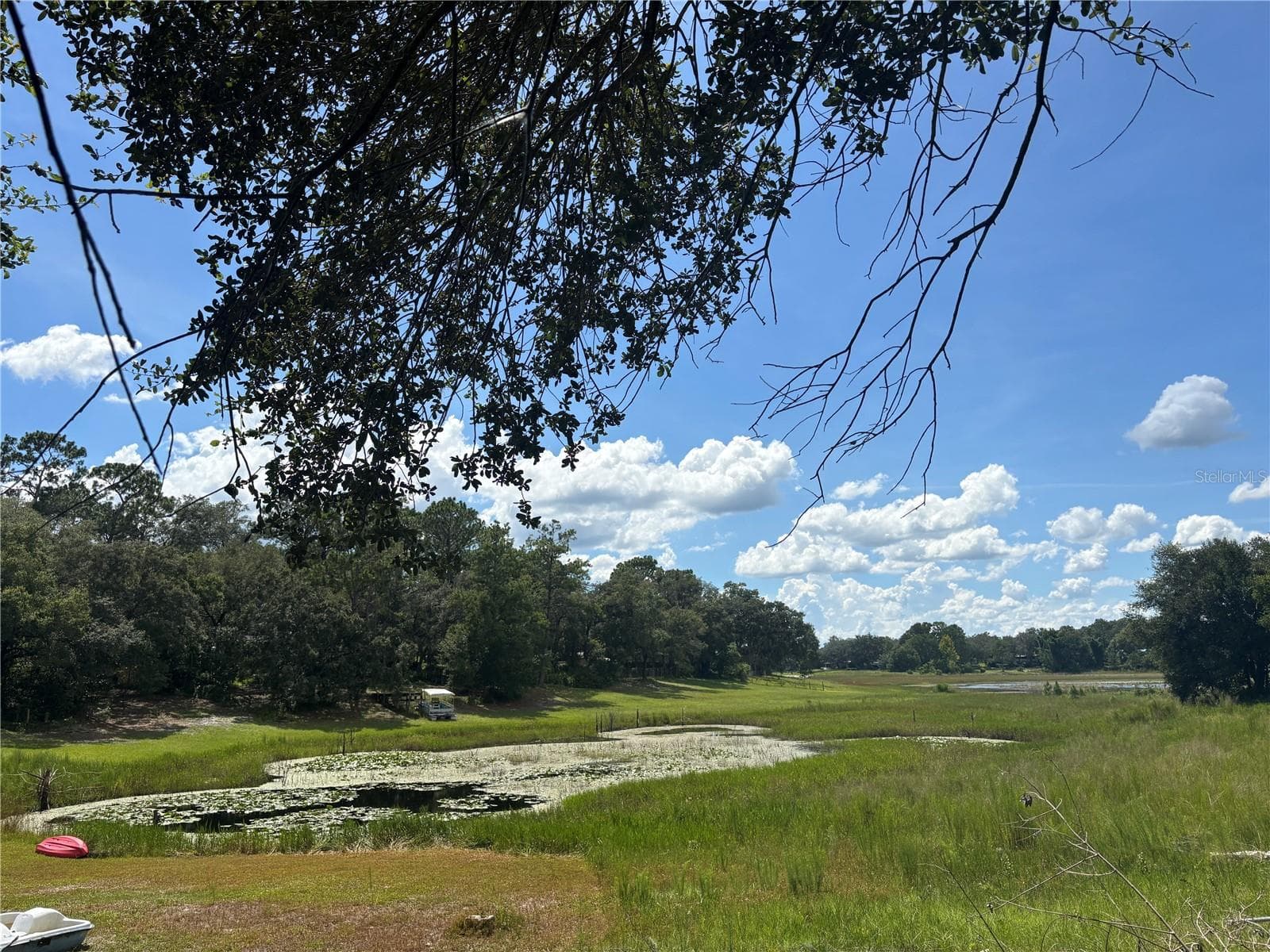 Land at 0 SE 180TH AVE, OCKLAWAHA, photo 3 of 12