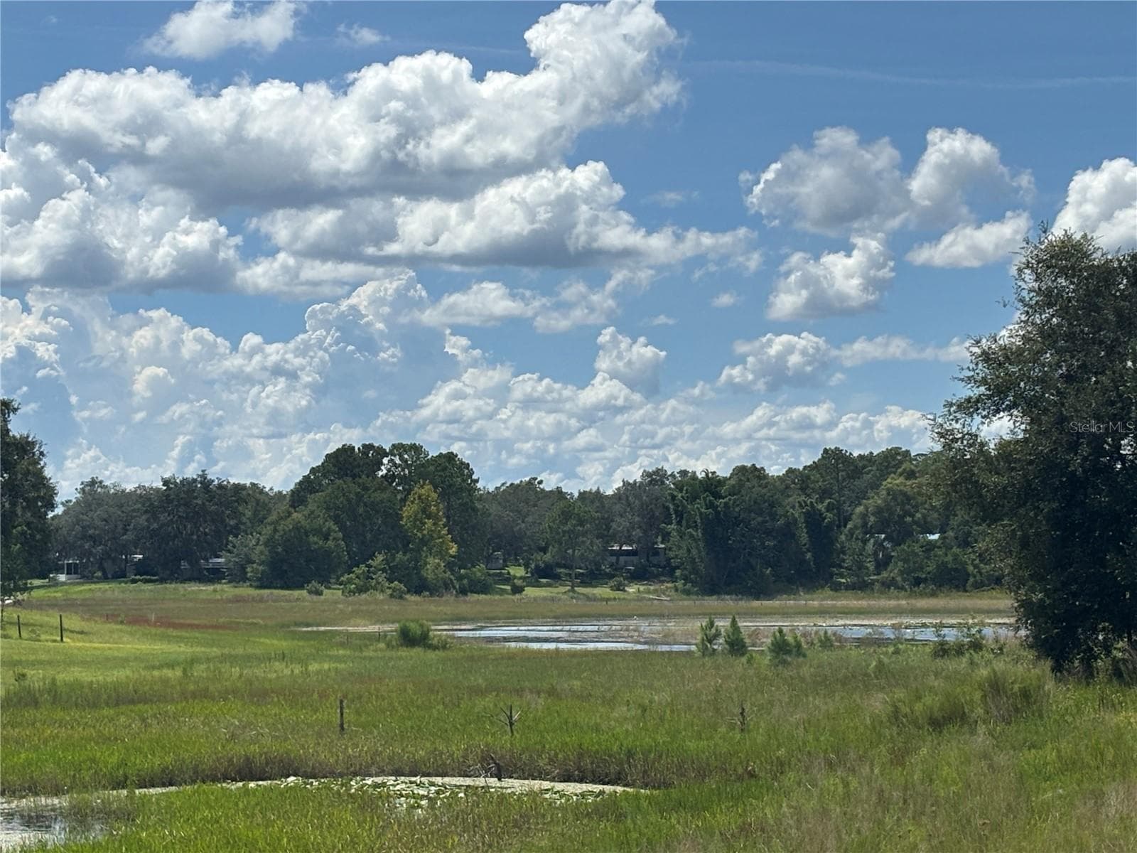 Land at 0 SE 180TH AVE, OCKLAWAHA, photo 4 of 12