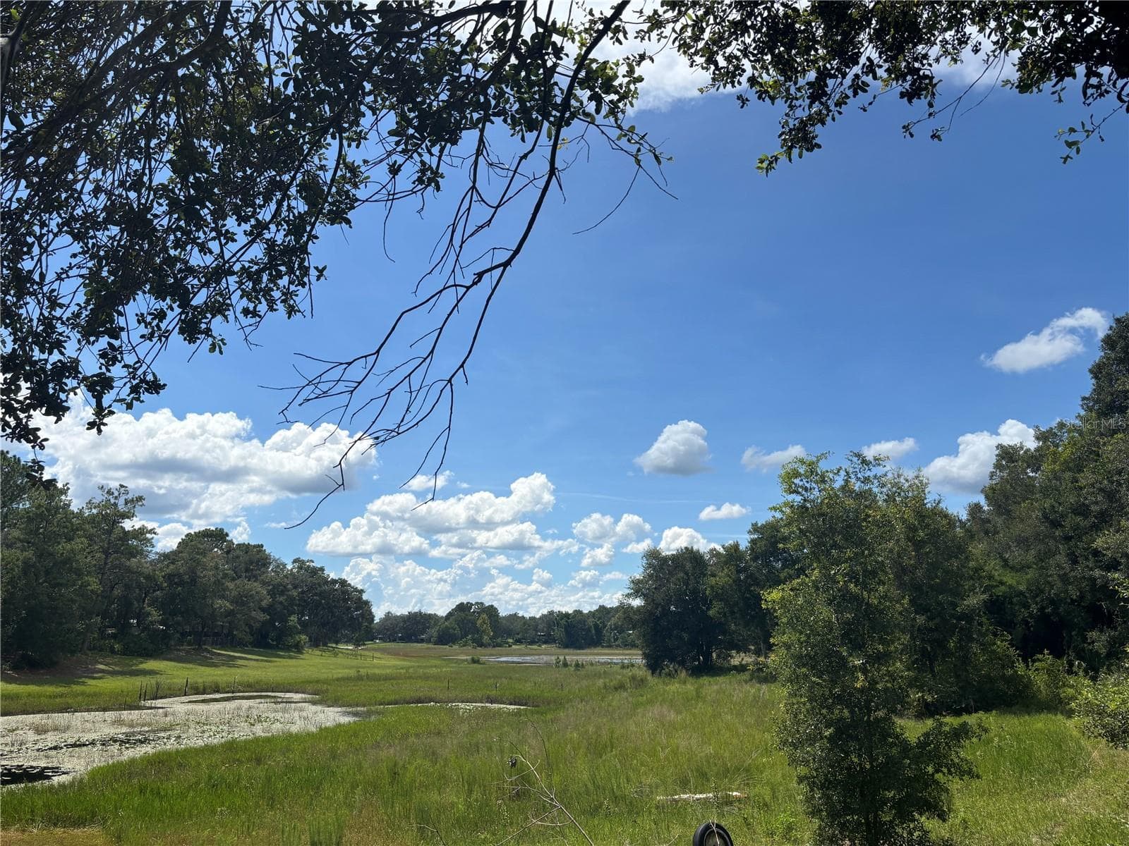 Land at 0 SE 180TH AVE, OCKLAWAHA, photo 5 of 12