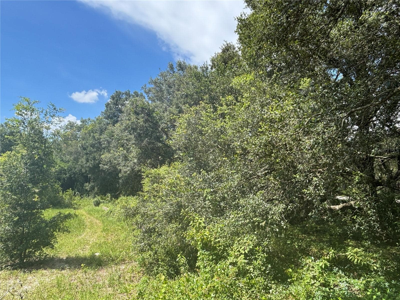 Land at 0 SE 180TH AVE, OCKLAWAHA, photo 9 of 12