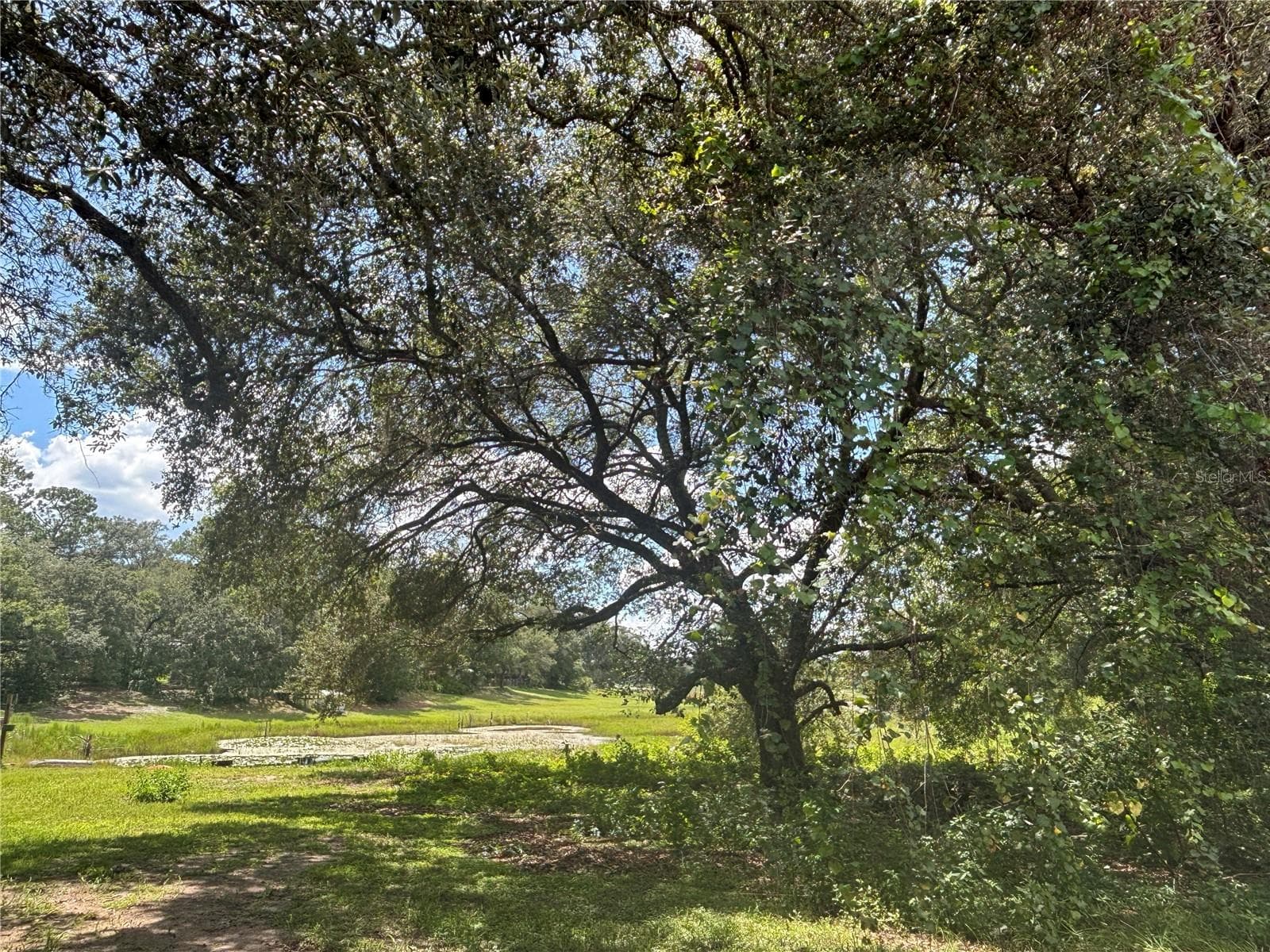 Land at 0 SE 180TH AVE, OCKLAWAHA, photo 12 of 12