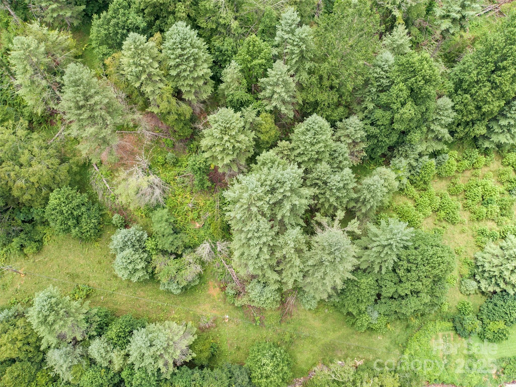 Acreage at Burnsville, photo 8 of 9