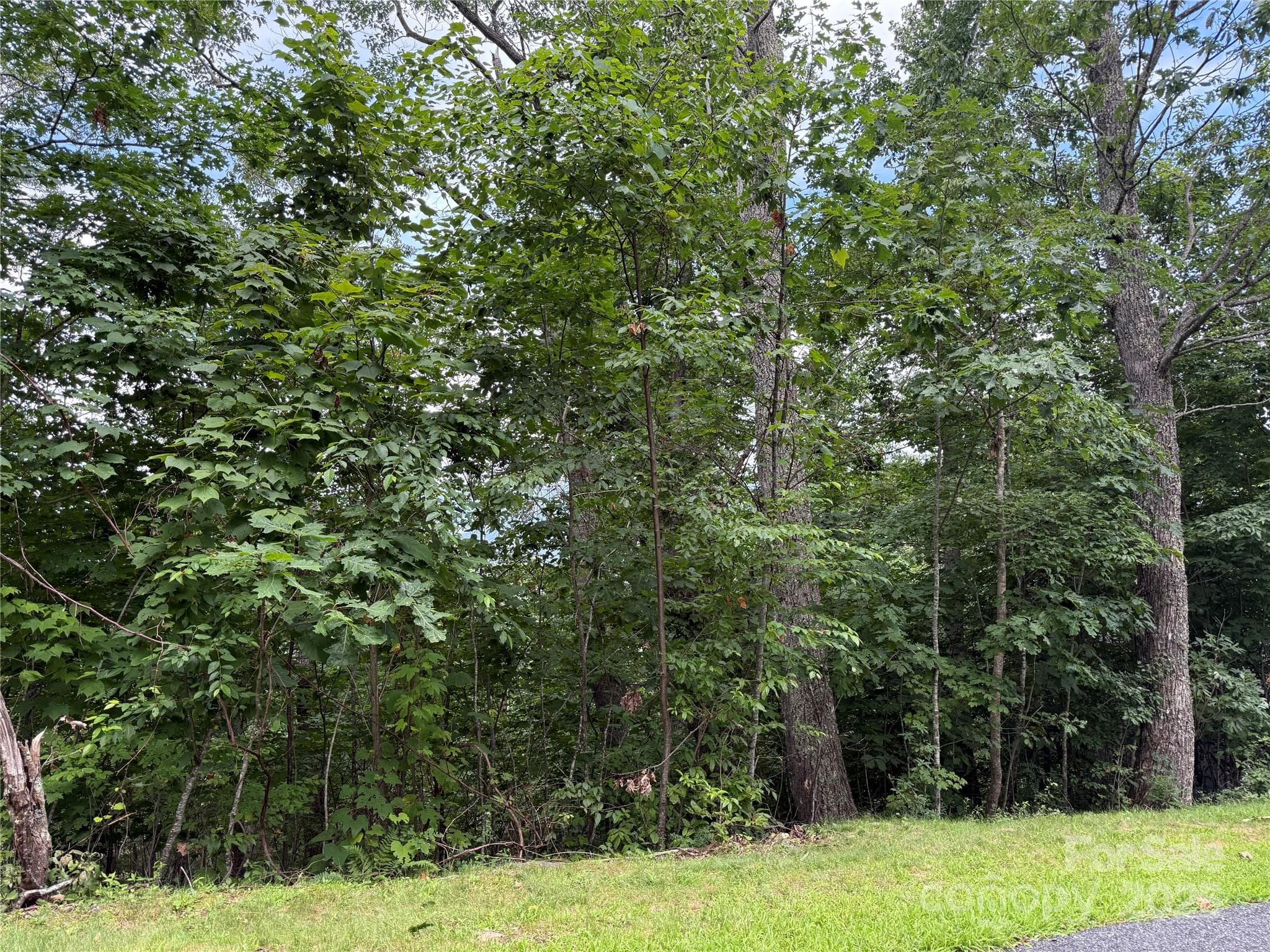 Lot at Lot 20 Heritage Ridge Road, Burnsville, photo 7 of 20