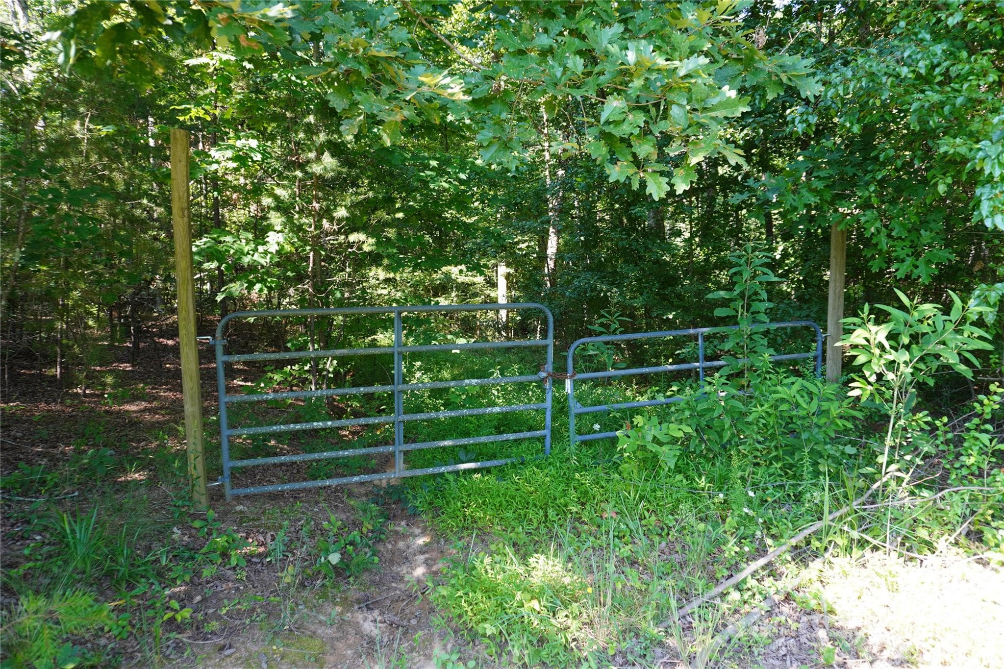 Lot at 2899 Golden Bell Lane, Hudson, photo 2 of 8