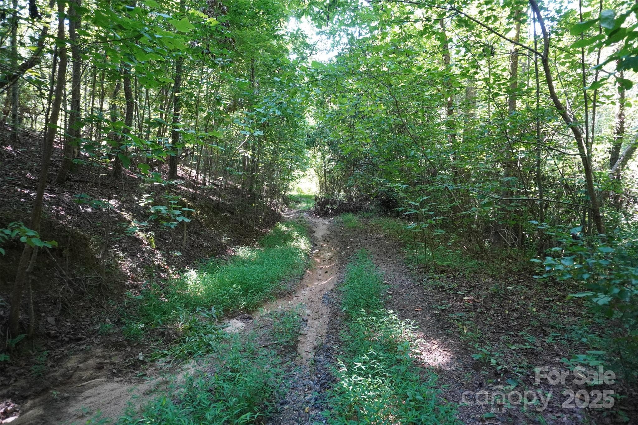 Lot at 2899 Golden Bell Lane, Hudson, photo 4 of 8