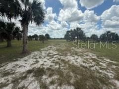 Land at 19374 NW 302ND ST, OKEECHOBEE, photo 19 of 51