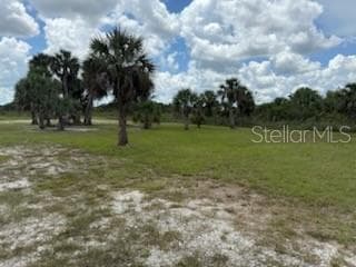 Land at 19374 NW 302ND ST, OKEECHOBEE, photo 21 of 51