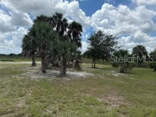 Land at 19374 NW 302ND ST, OKEECHOBEE, photo 23 of 51
