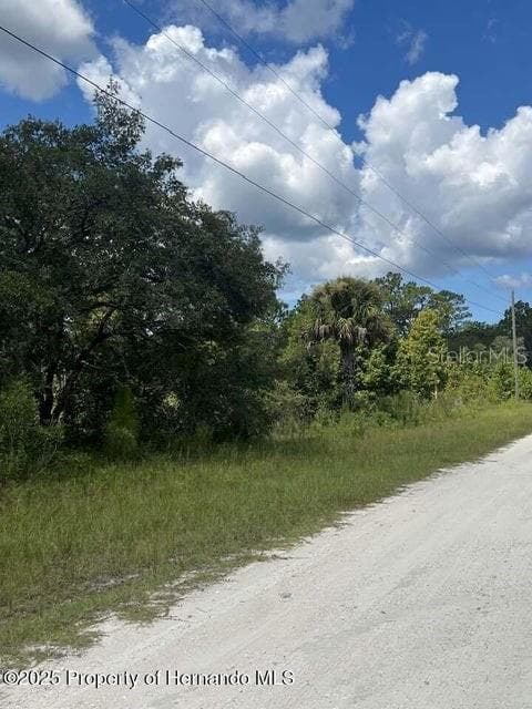 Land at 0 0 YELLOW FROG AVE, WEEKI WACHEE, photo 2 of 3