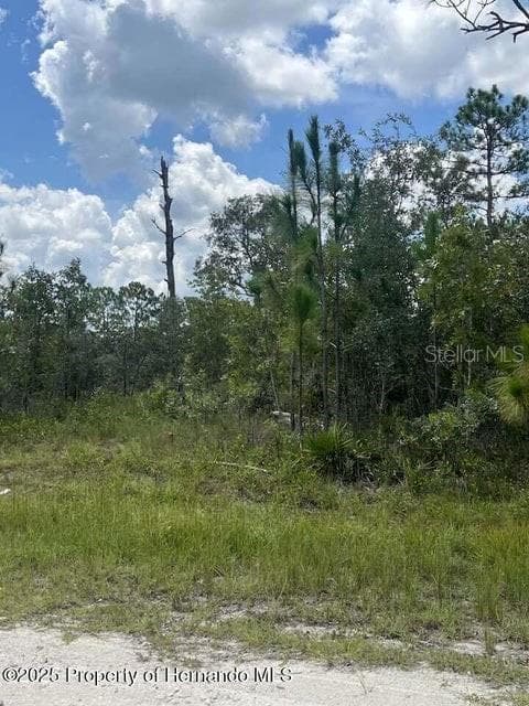 Land at 0 0 YELLOW FROG AVE, WEEKI WACHEE, photo 3 of 3
