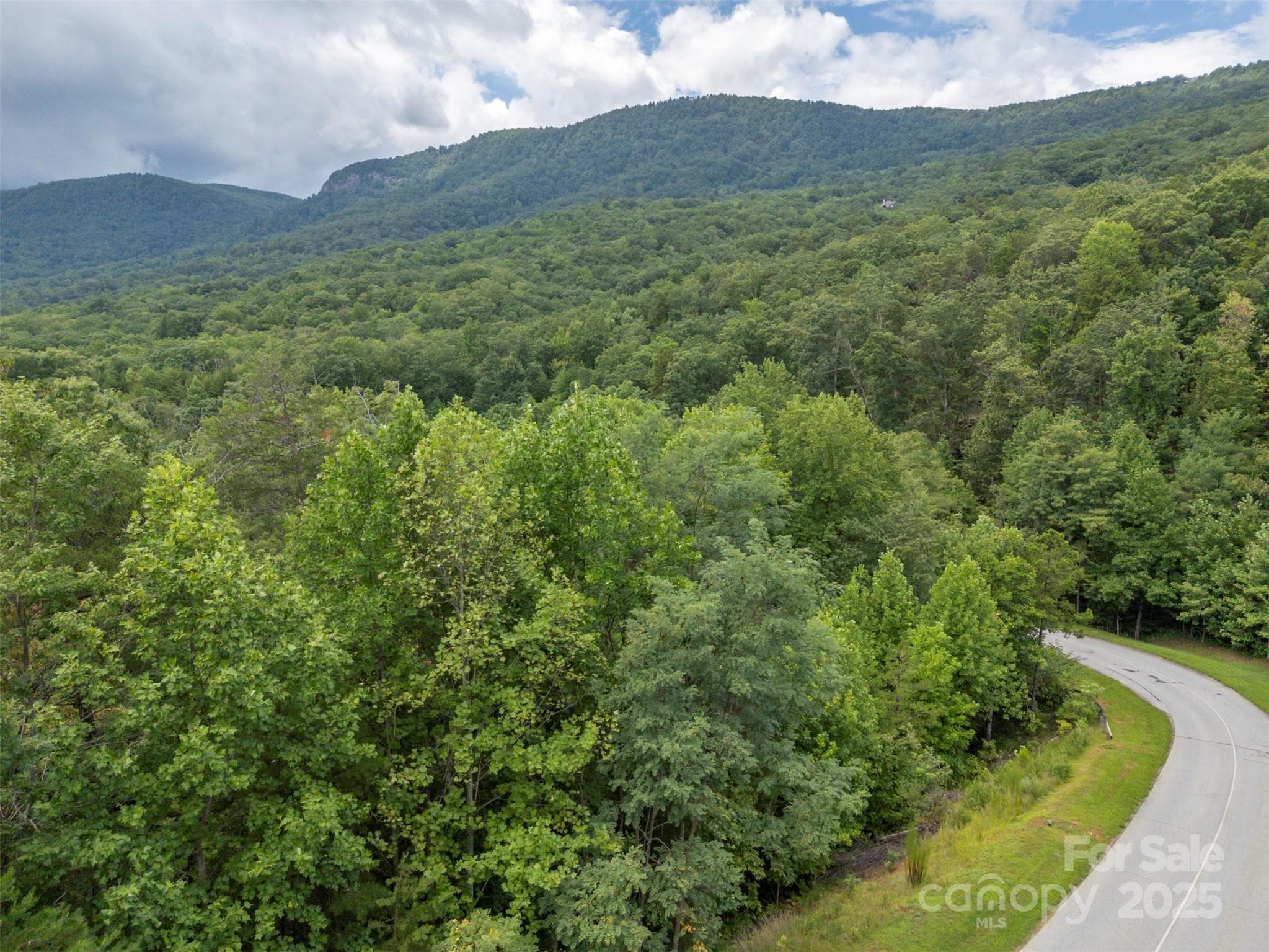 Potential mountain views with selective clearing. - 00 Deep Gap Road E, Mill Spring