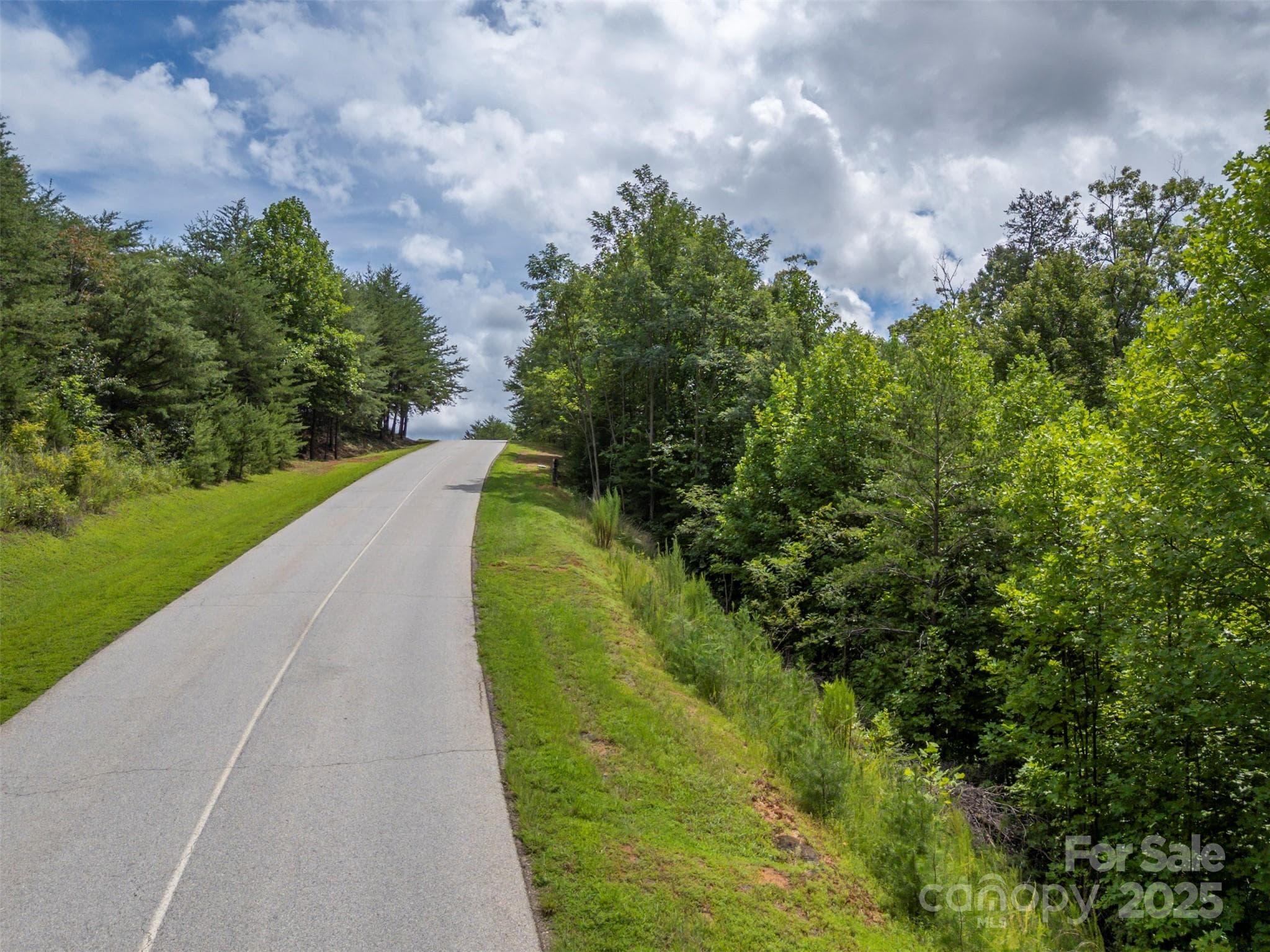 Lot 97 has 300+/- of road frontage, looking up E Deep Gap Farm Rd from the lower boundary. - 00 Deep Gap Road E, Mill Spring