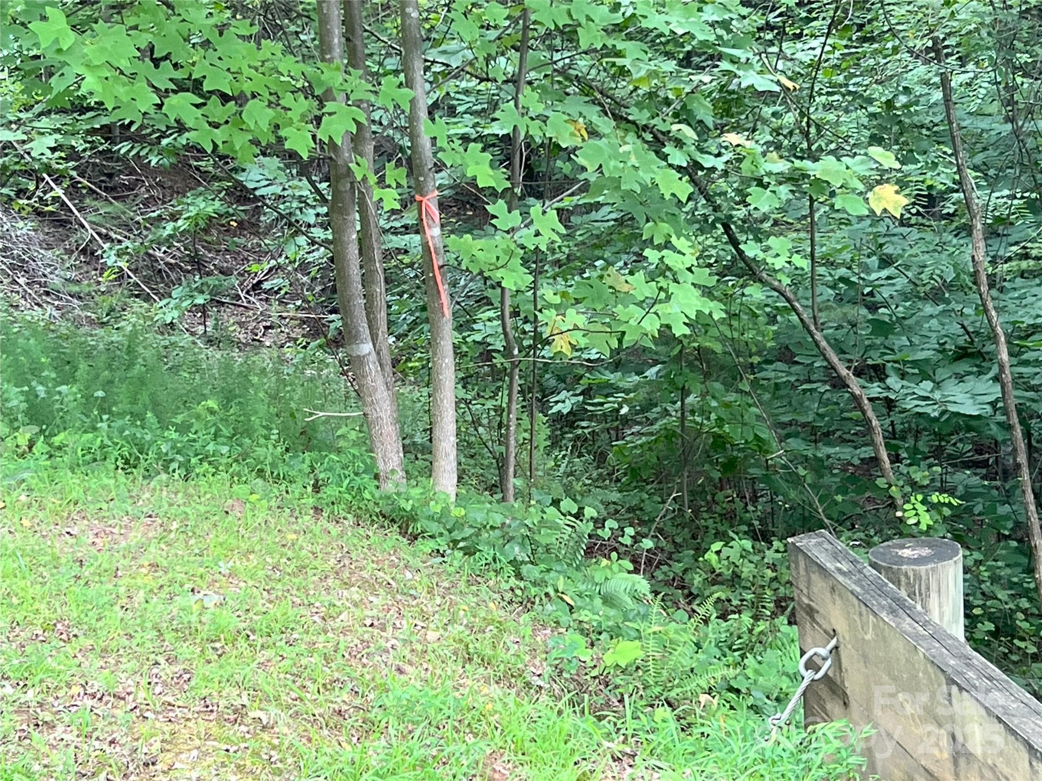 The orange Flag indicates the approximate boundary line on the right of lot 97. - 00 Deep Gap Road E, Mill Spring