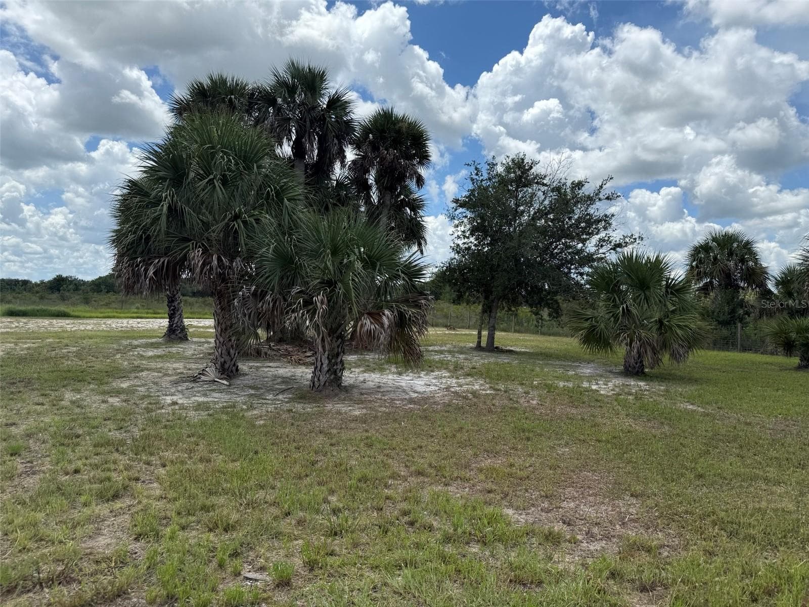 Land at 19374 NW 302ND ST, OKEECHOBEE, photo 25 of 51