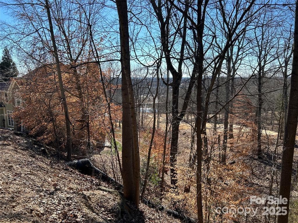 Lot at 221 Mays Mills Drive, Cramerton, photo 4 of 15