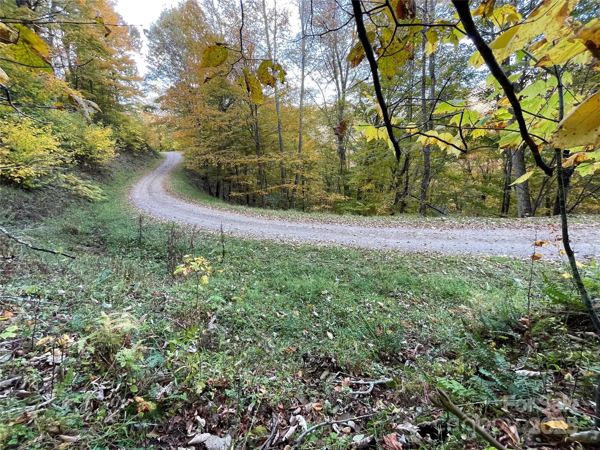Lot at Mars Hill, photo 2 of 12